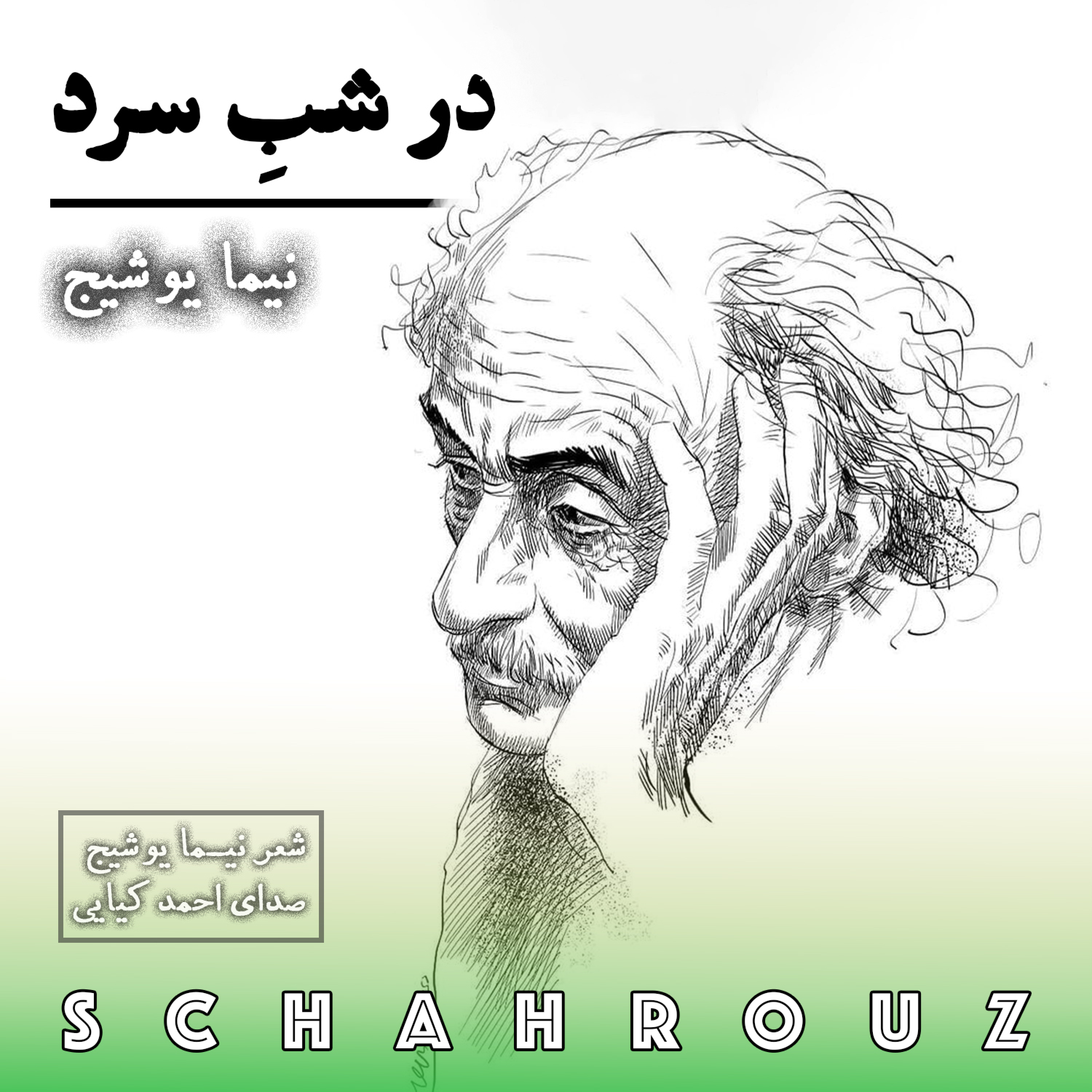 نیما یوشیج | در شب سرد