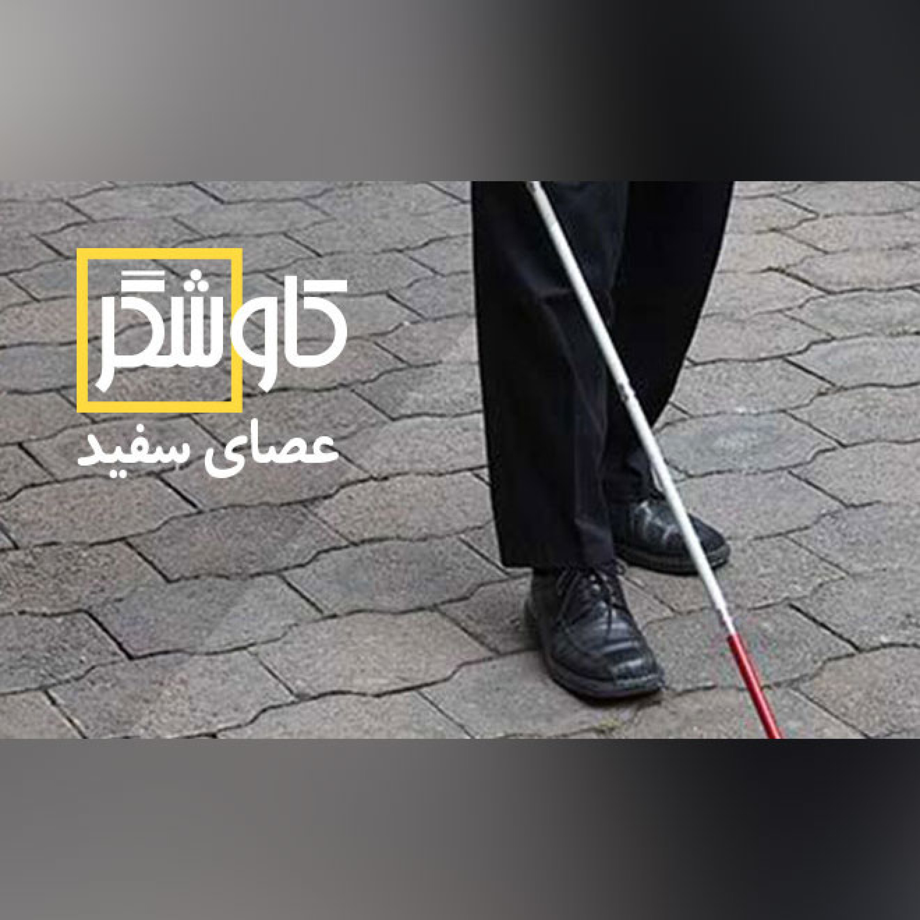 عصای سفید