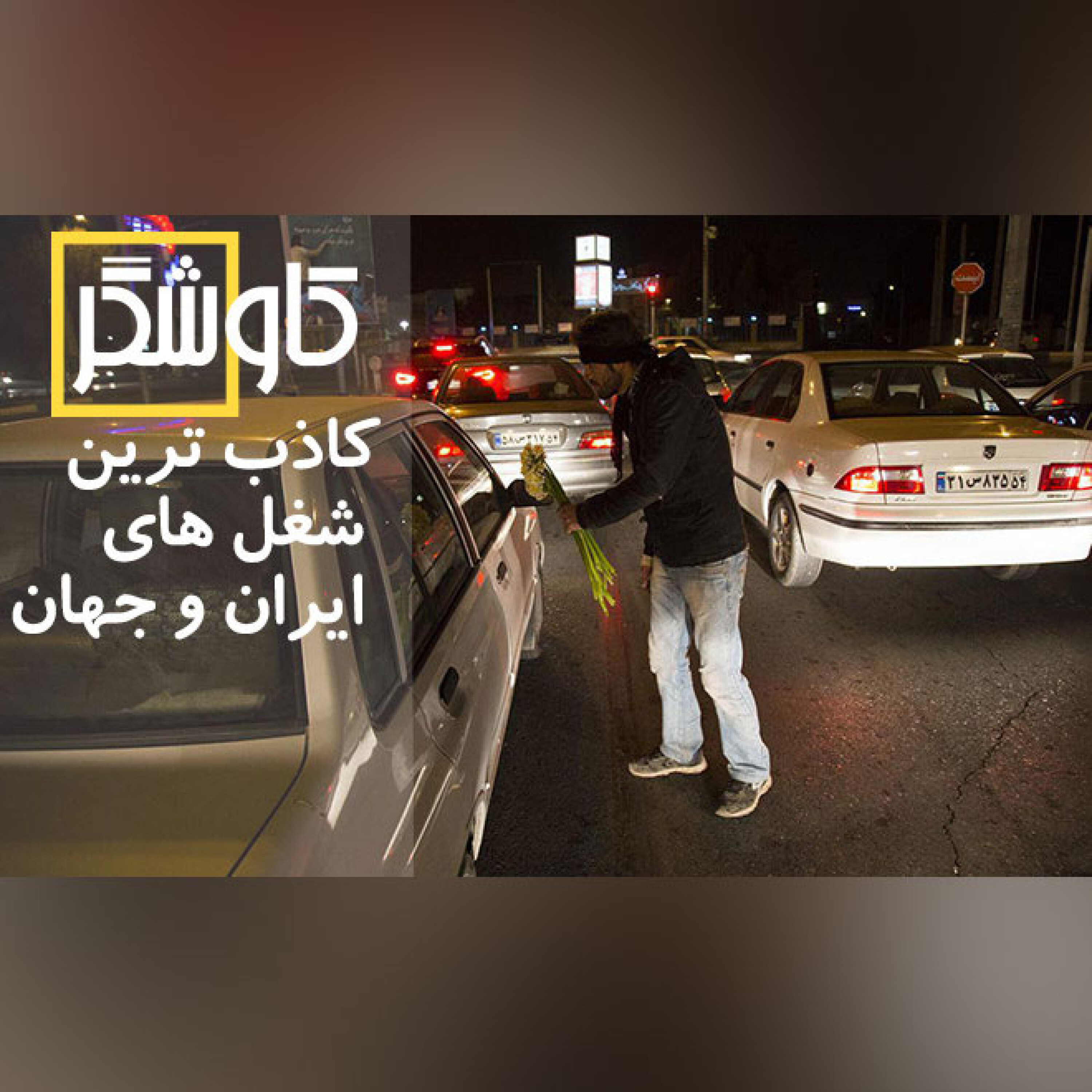 کاذب ترین شغل های ایران و جهان