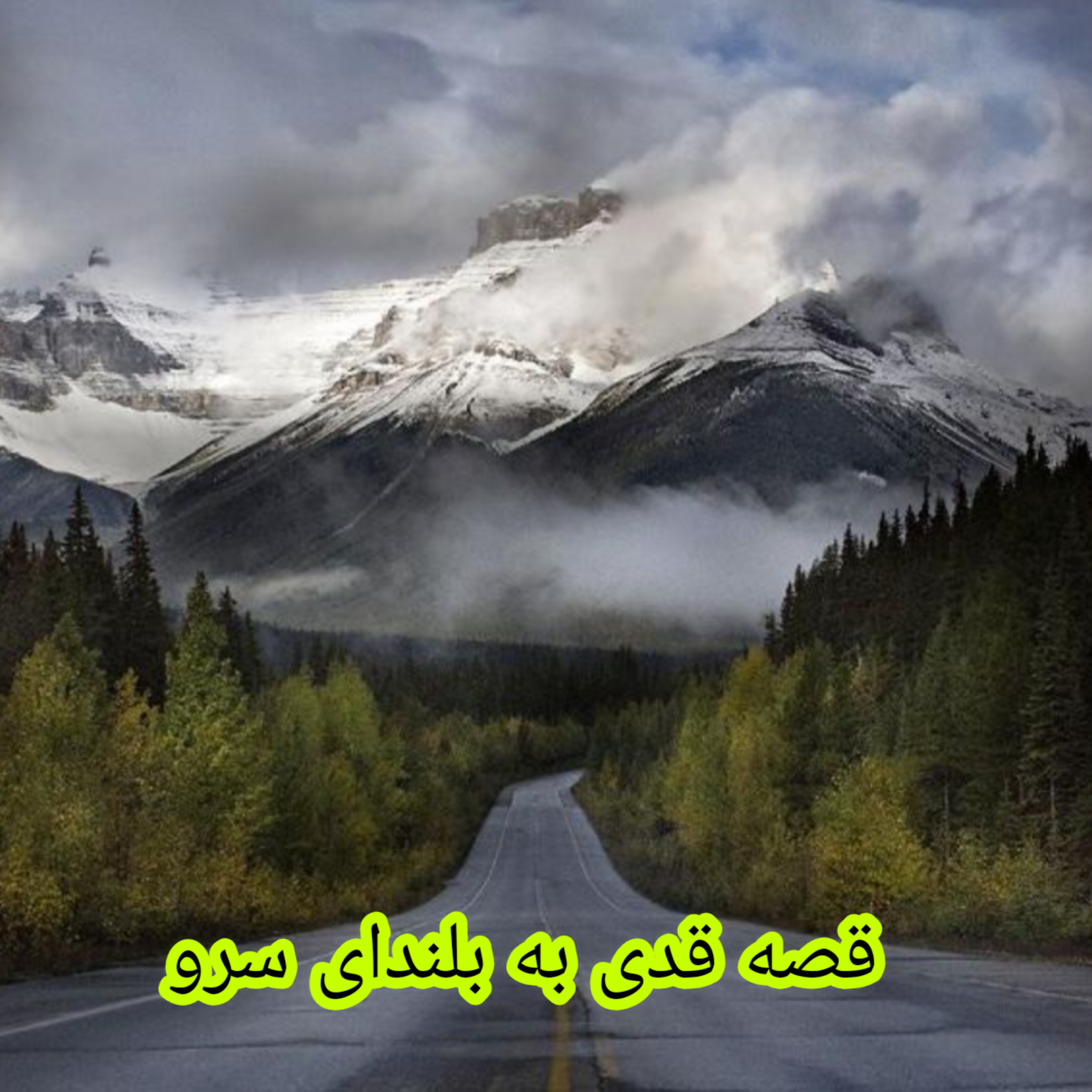 کاور قدی به بلندای سرو