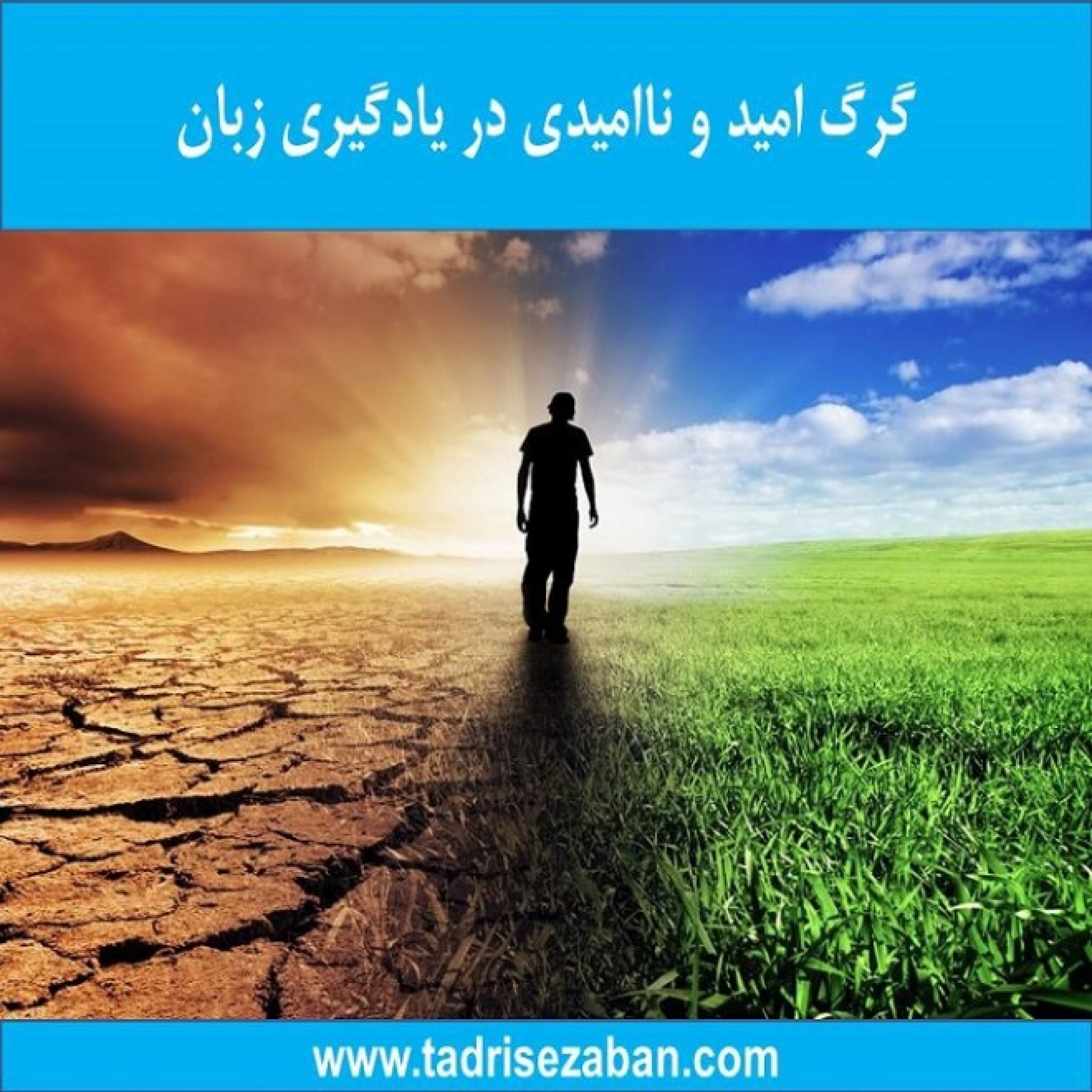 کاور گرگ امید و ناامیدی در یادگیری زبان