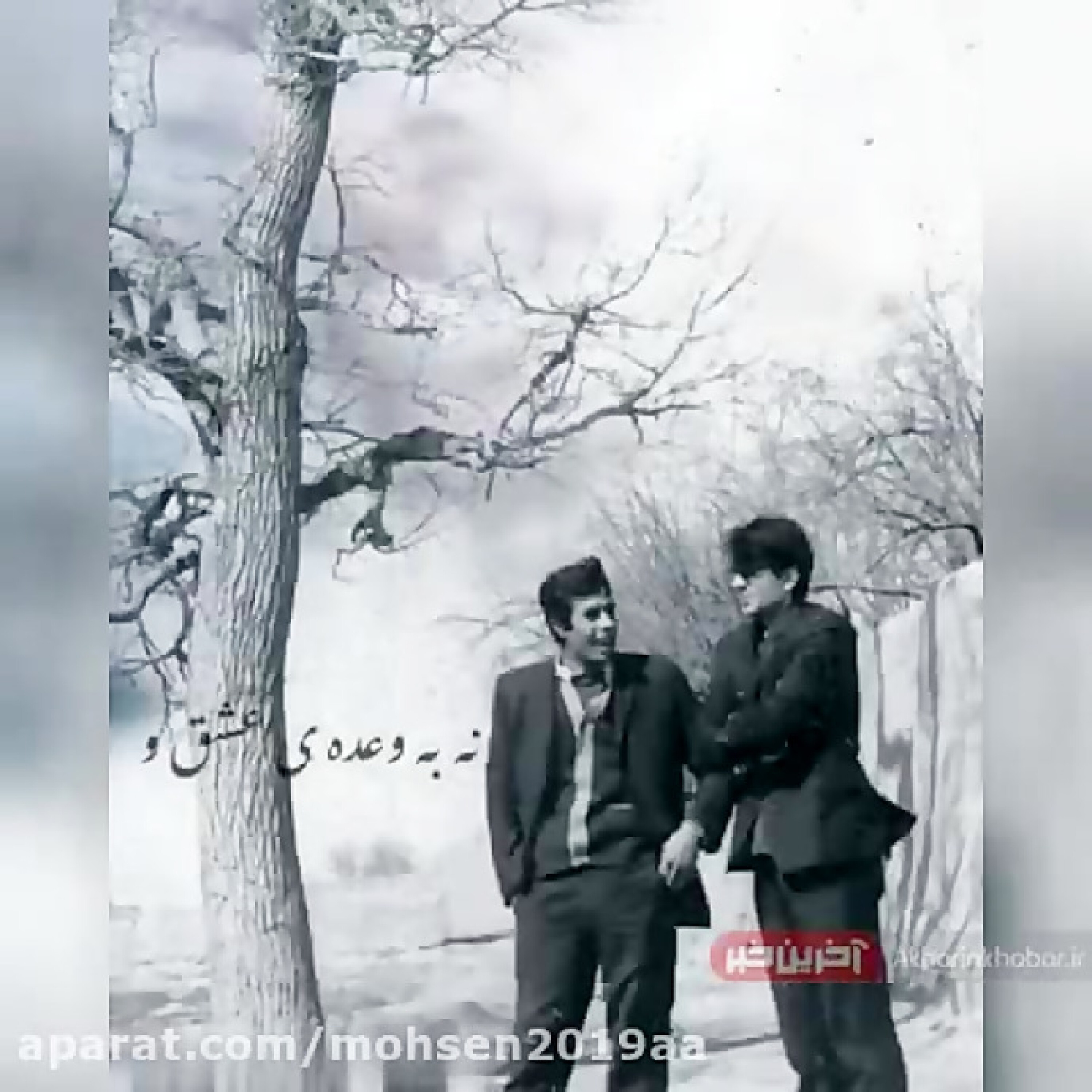 و دیگر جوان نخواهم شد...