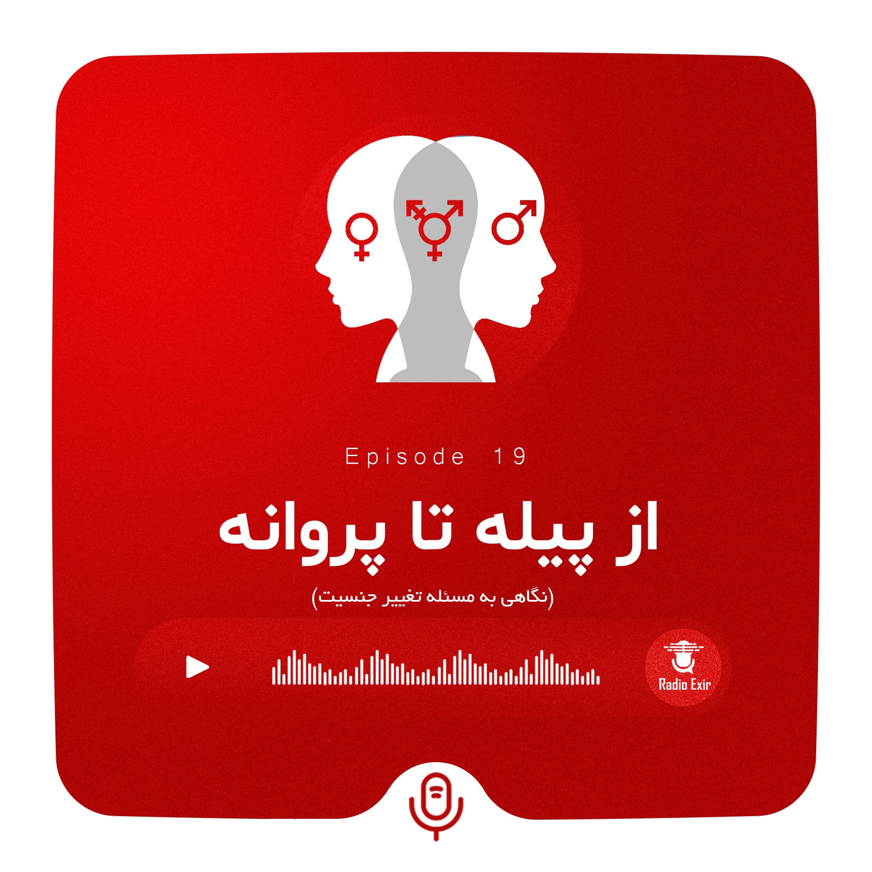 کاور پادکست 19 - از پیله تا پروانه