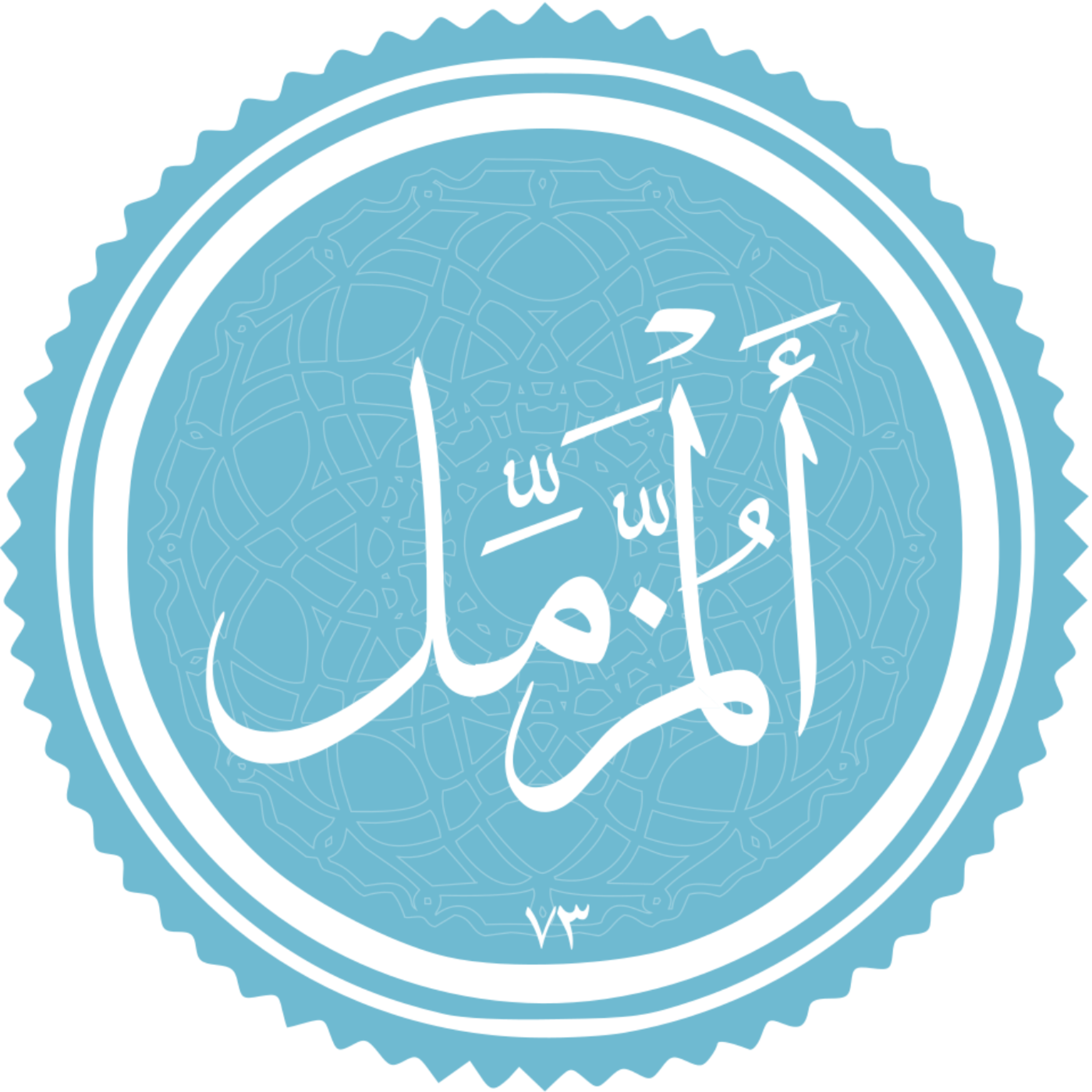کاور منتخب سوره المزمل