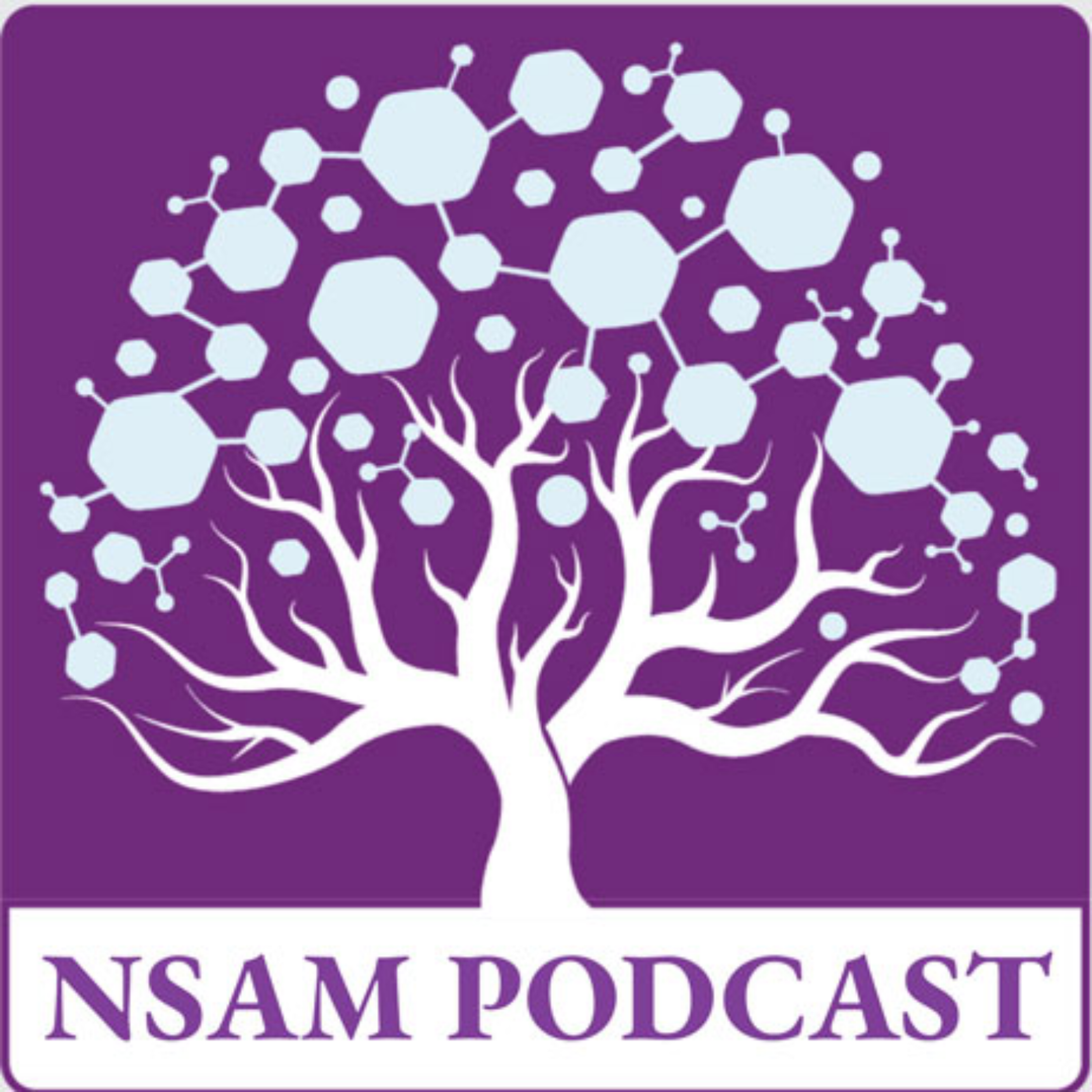کاور Vol 2, Issue 2 🎧 Ep. 04. DFT Computations on Carbazole-Based Derivatives as Dye Sensitizers for Dye
