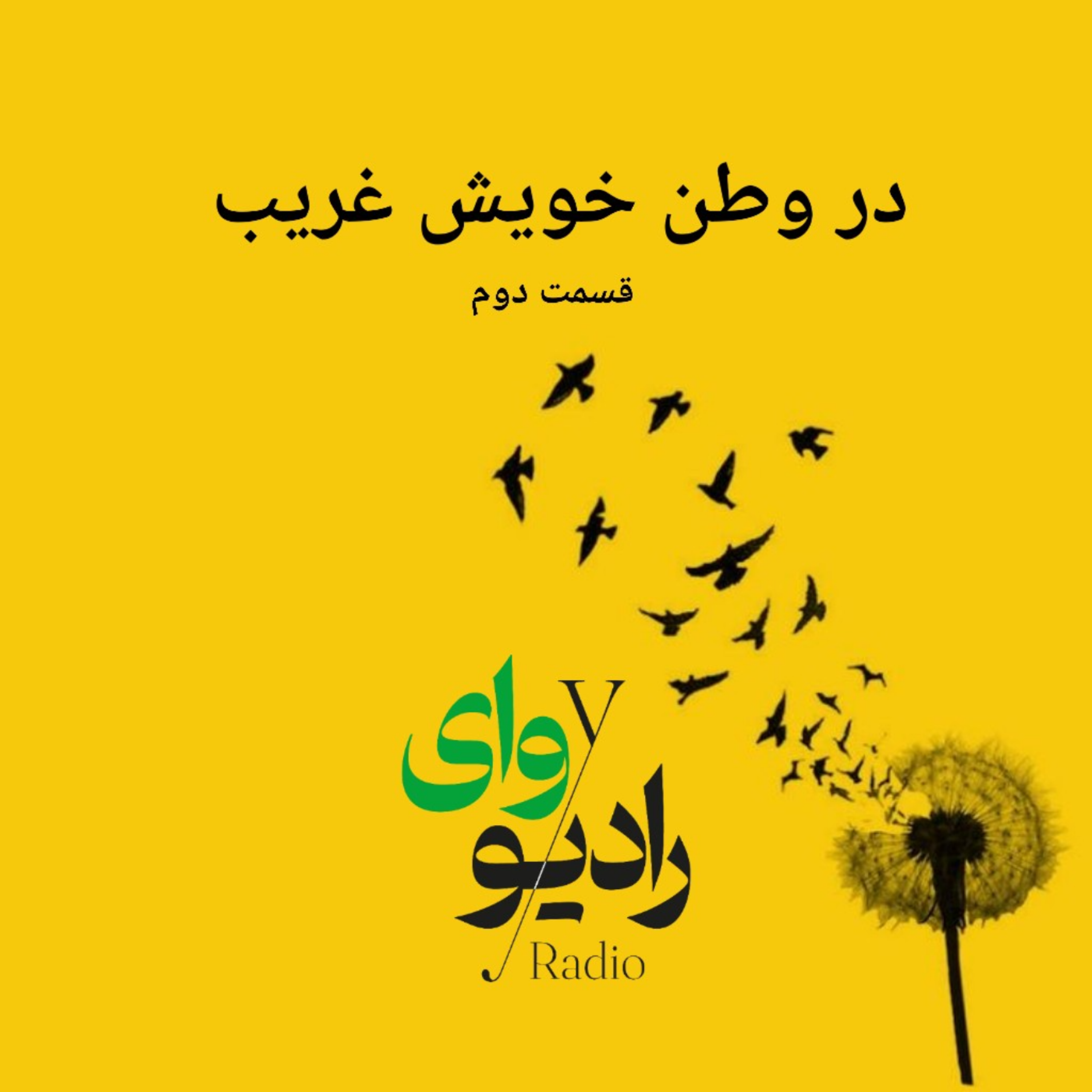 کاور رادیو وای -در وطن خویش غریب - قسمت دوم