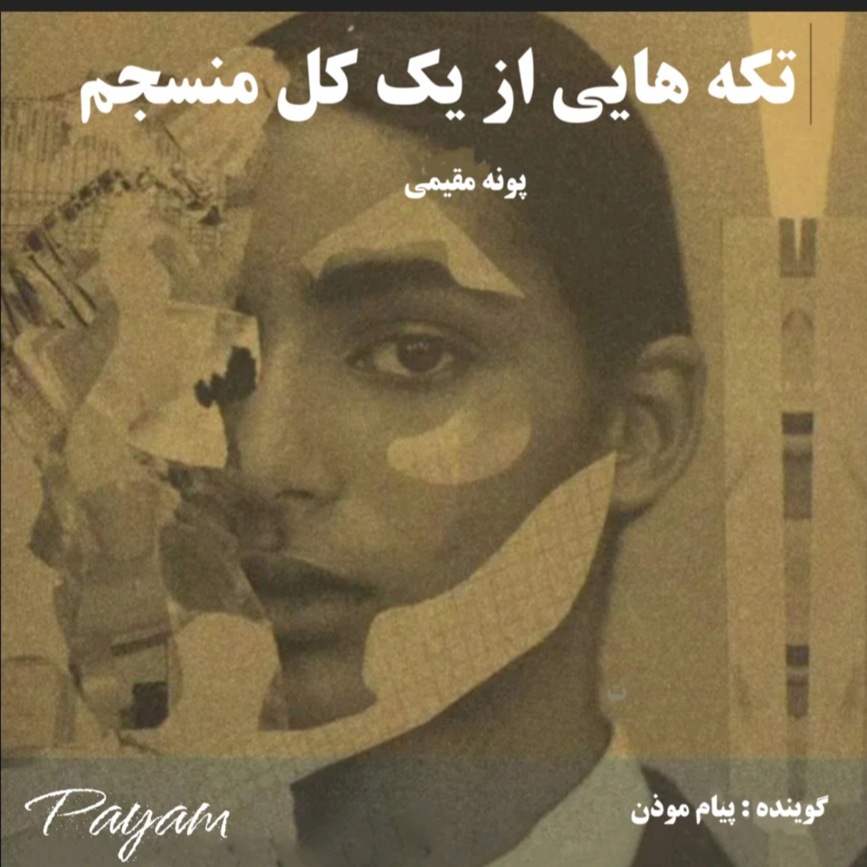 کاور تکه هایی از یک کل منسجم ، مقدمه