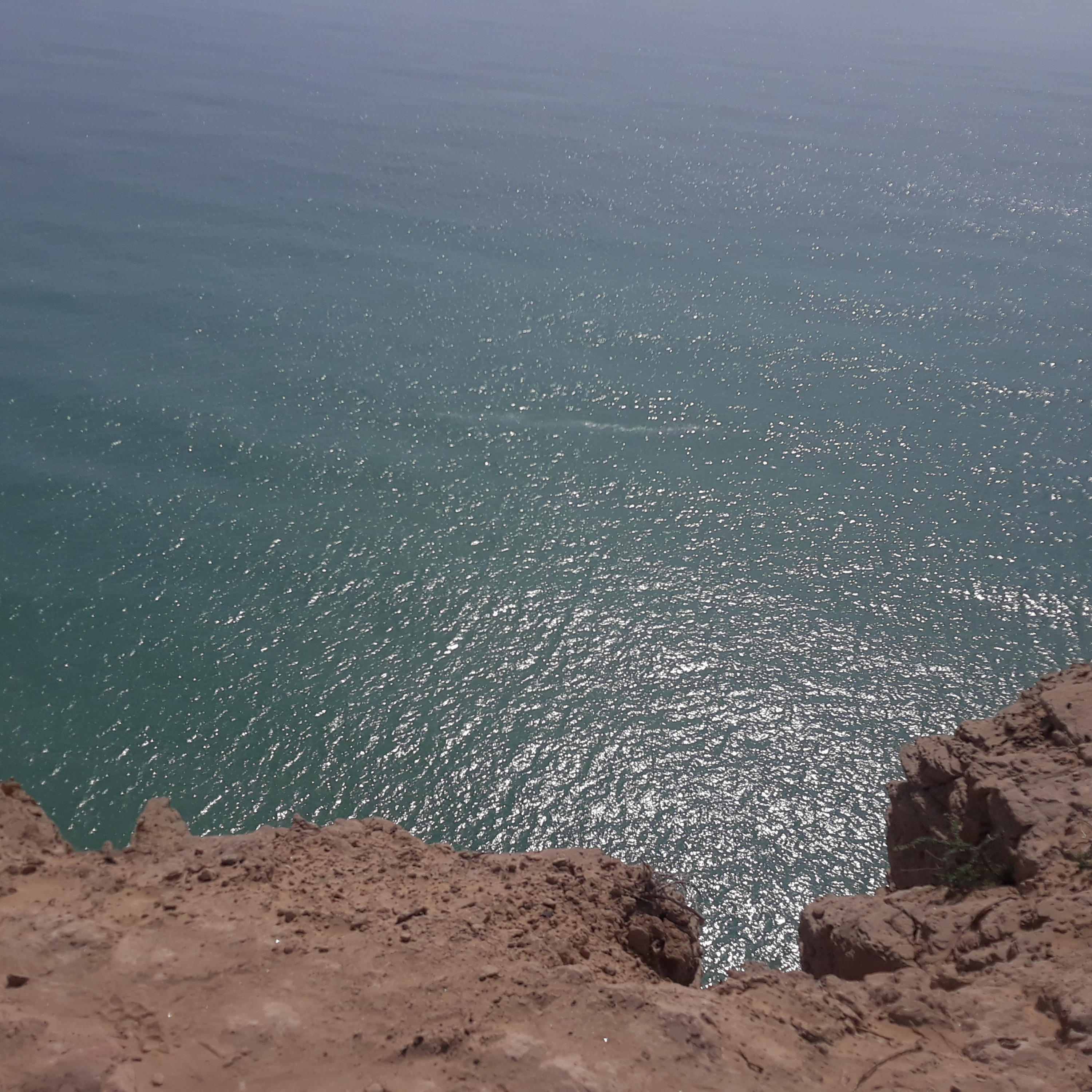 کاور جوونی