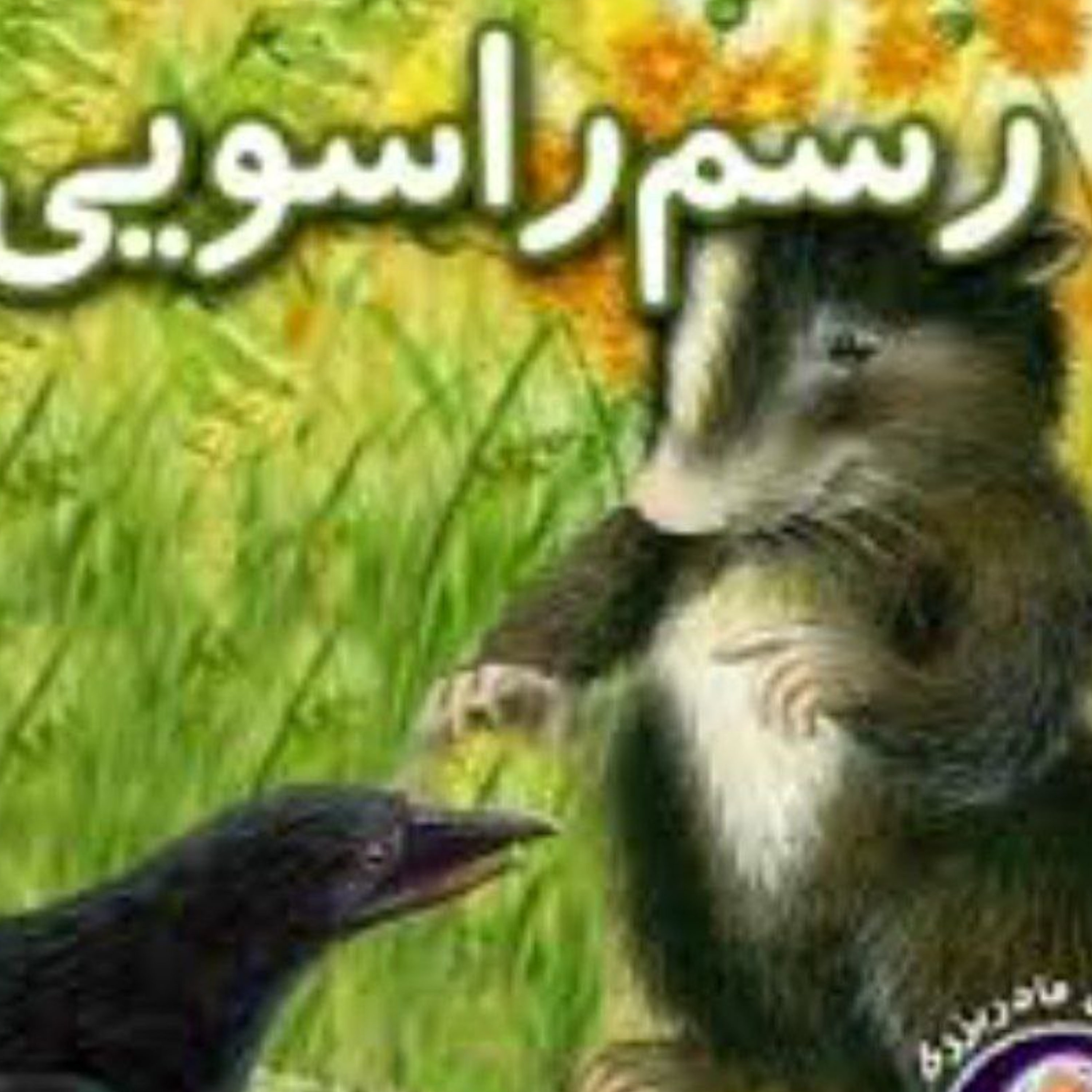 کاور رسم راسویی