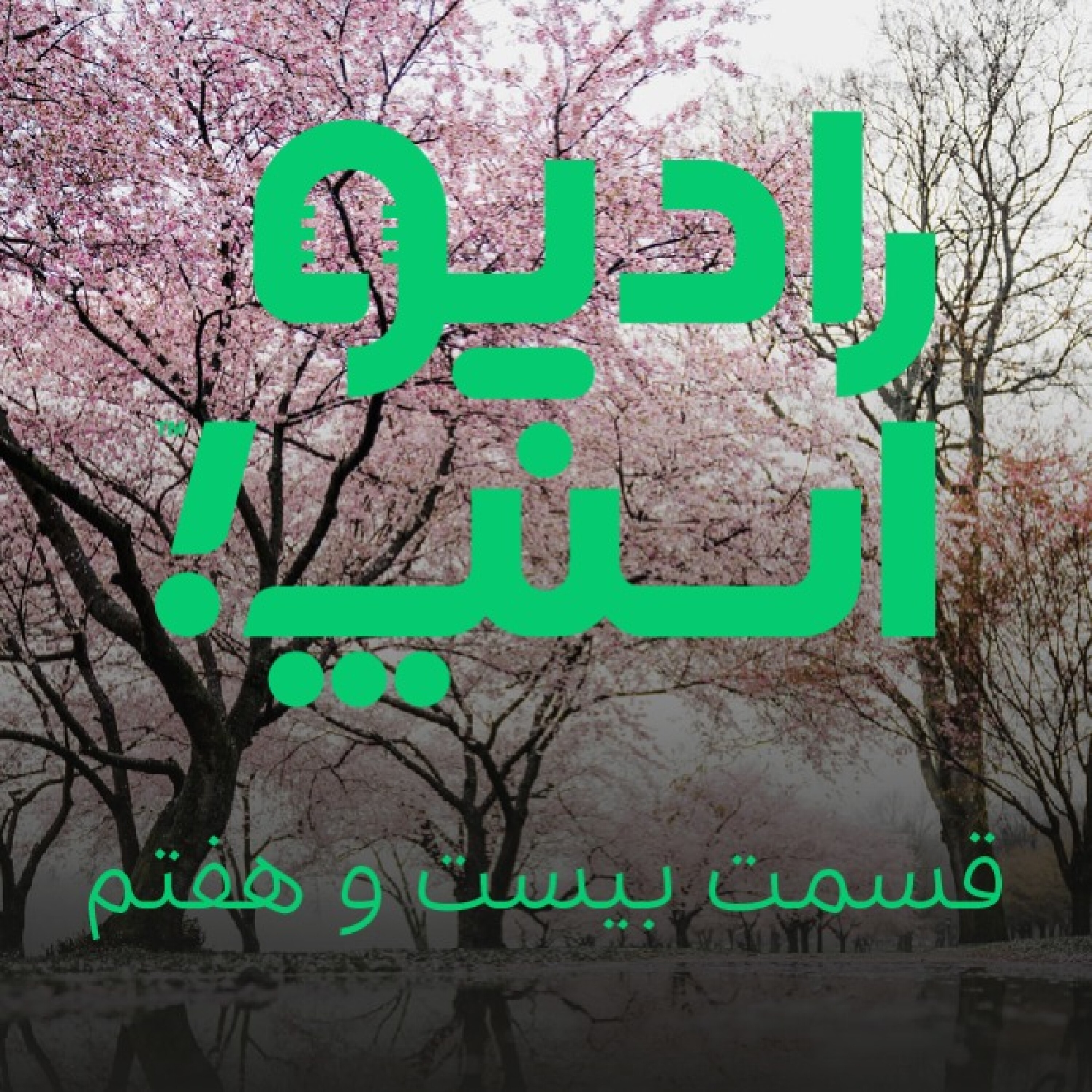 رادیو اسنپ، سال نو مبارک