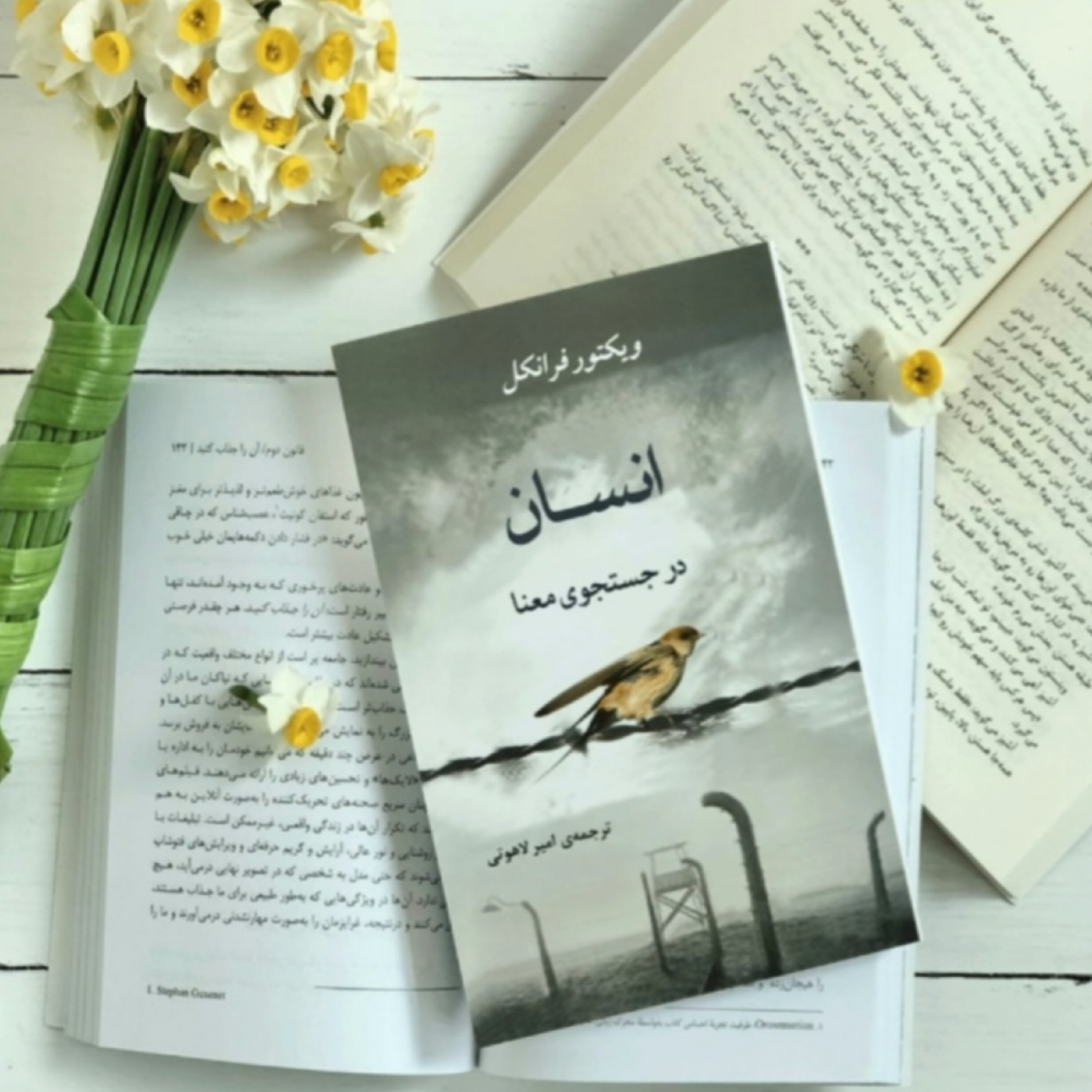 کاور کتاب انسان در جستجوی معنا (خلاصه قسمت آخر)
