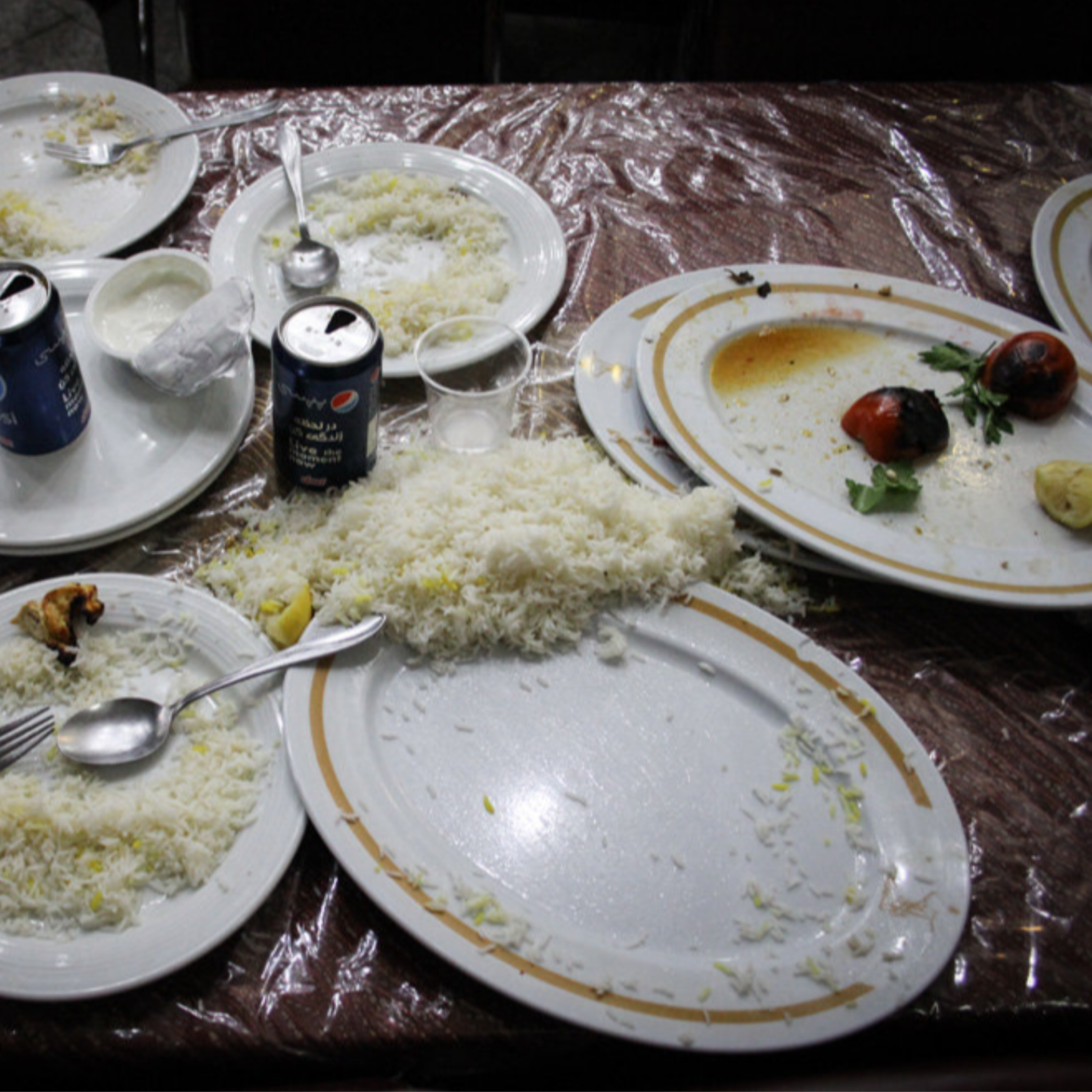 کاور ۱۴۸. پسماند گونه انسان