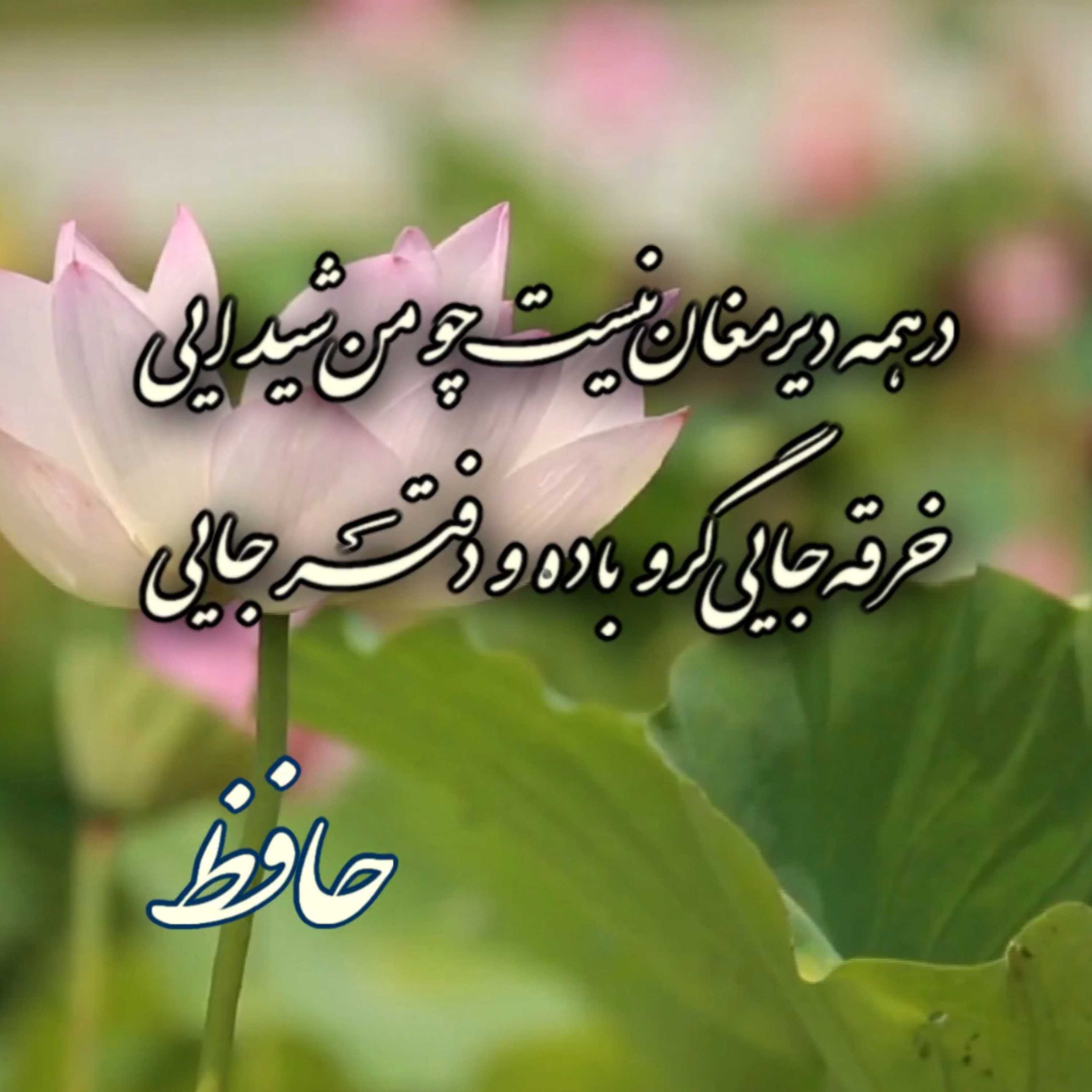 کاور حافظ - دیوان غزلیات - غزل شماره ۴۹۰