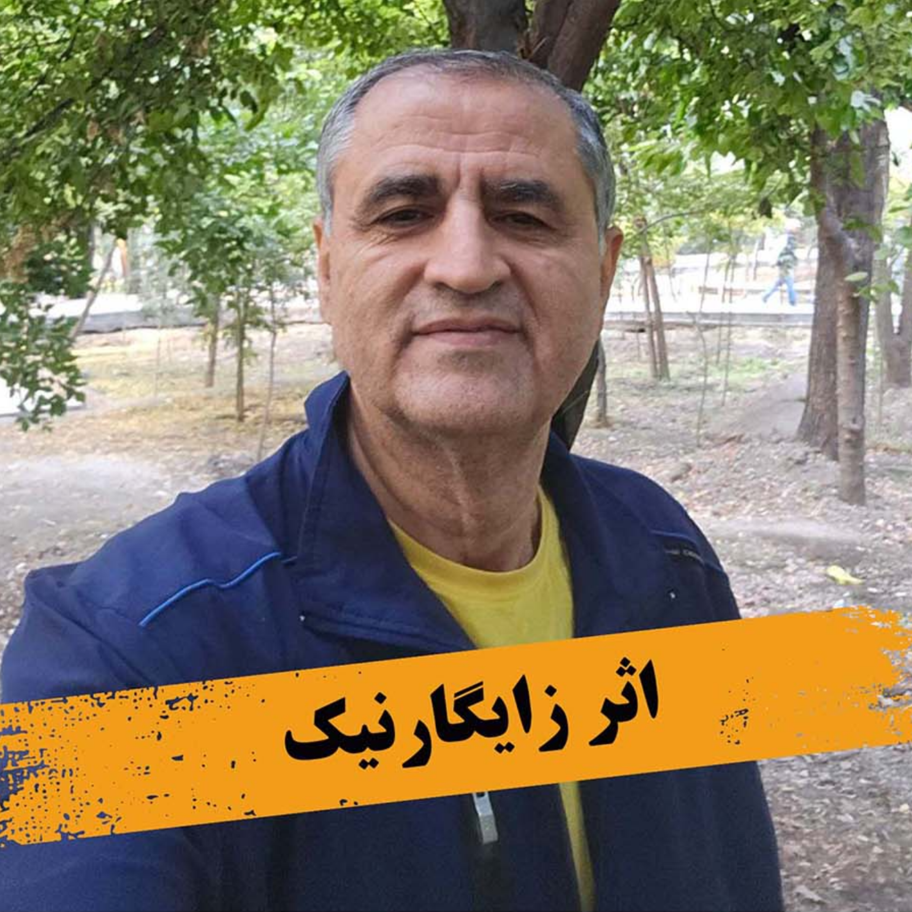 کاور اثر زایگارنیک
