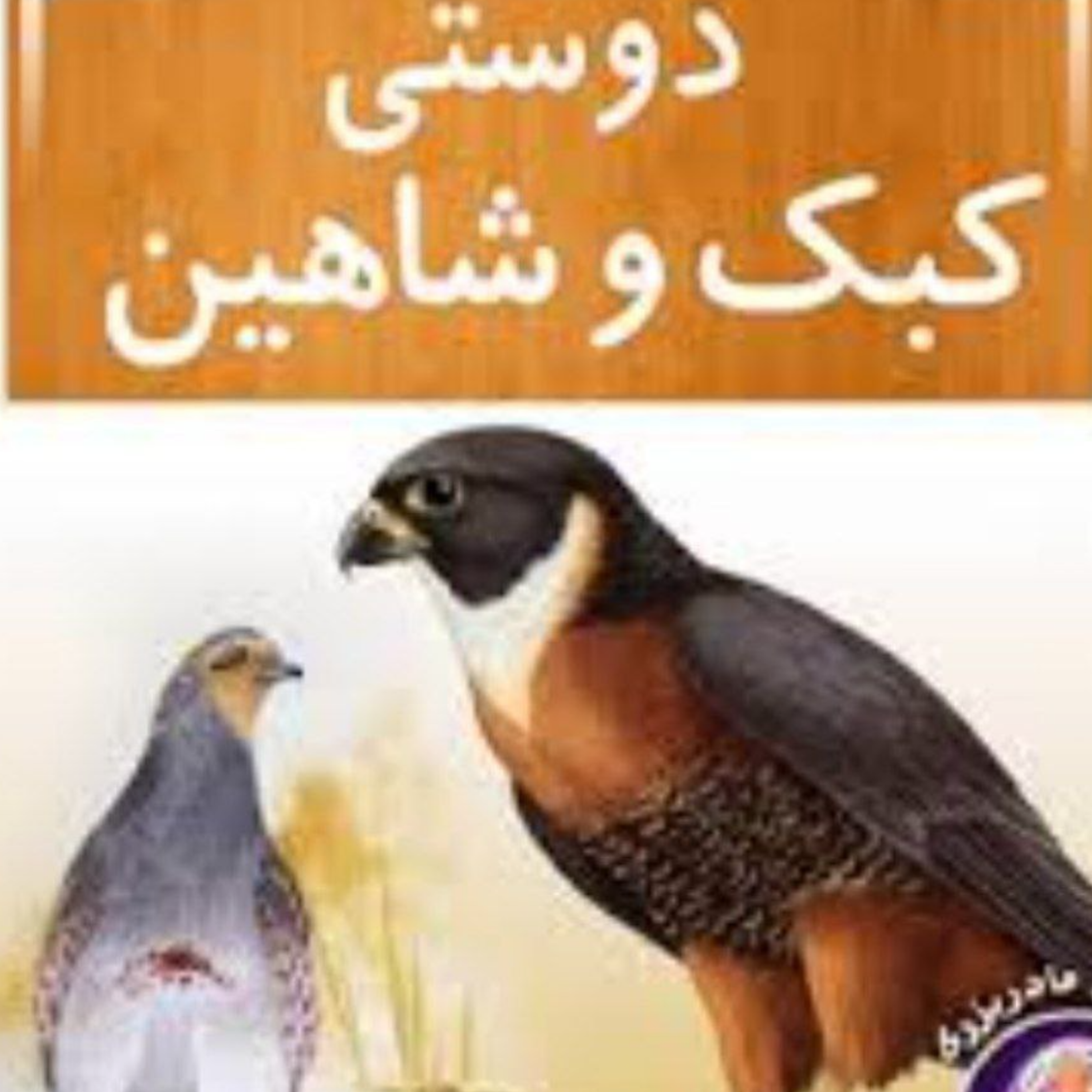 کاور دوستی کبک وشاهین