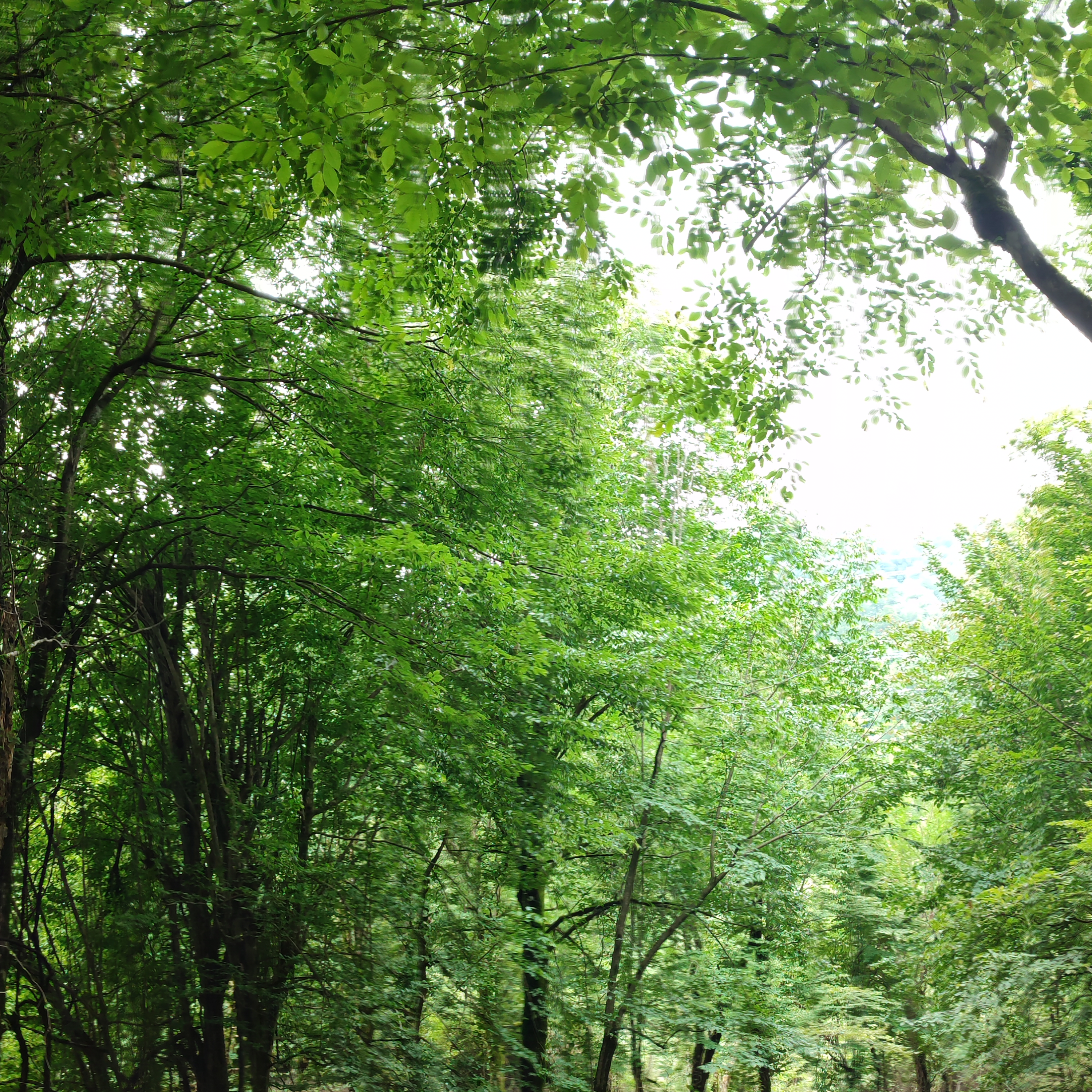 کاور هنوز خسته نشدی؟