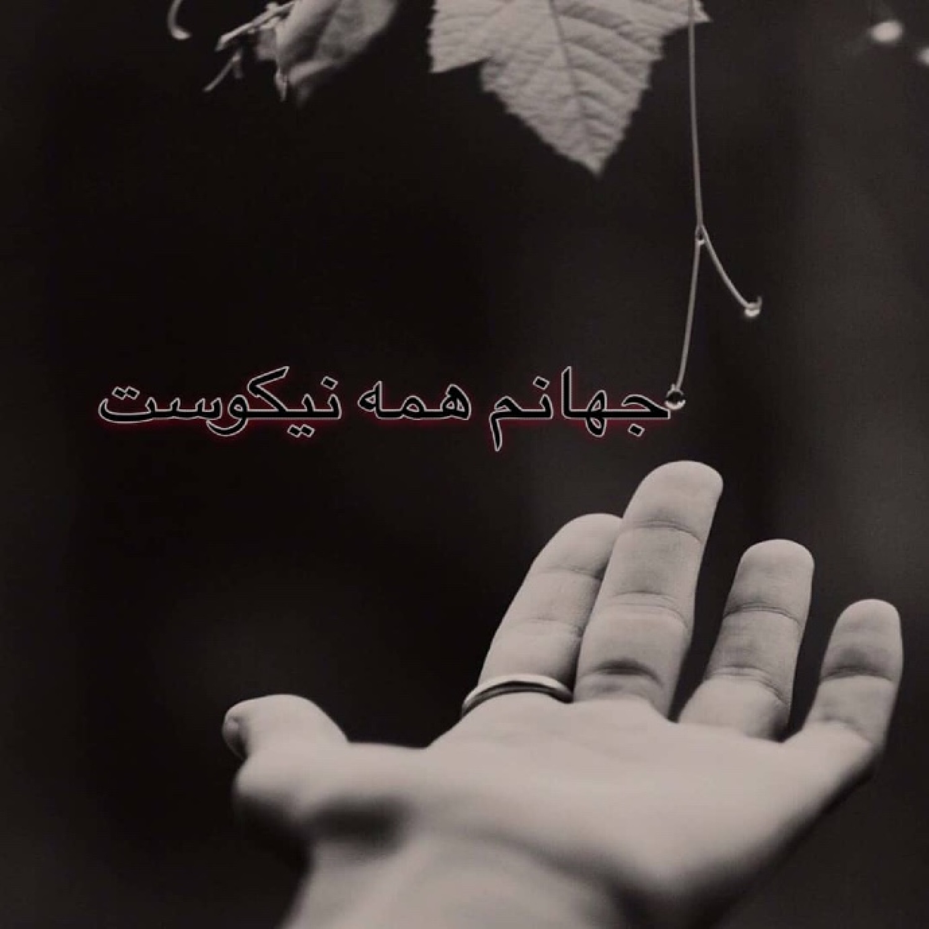 کاور جهانم همه نیکوست - اپیزود پنجم_جهانم همه نیکوست