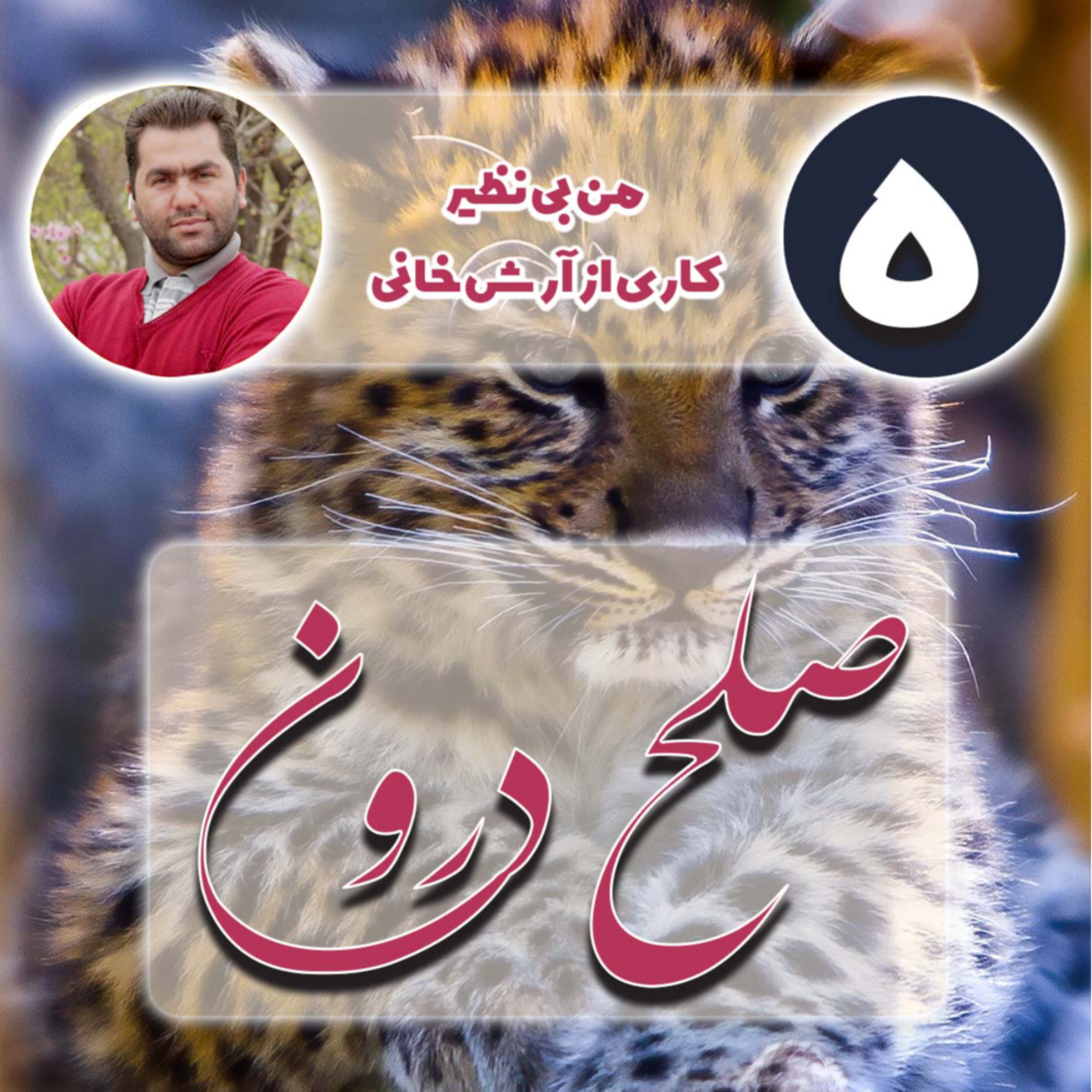 کاور صلح درون