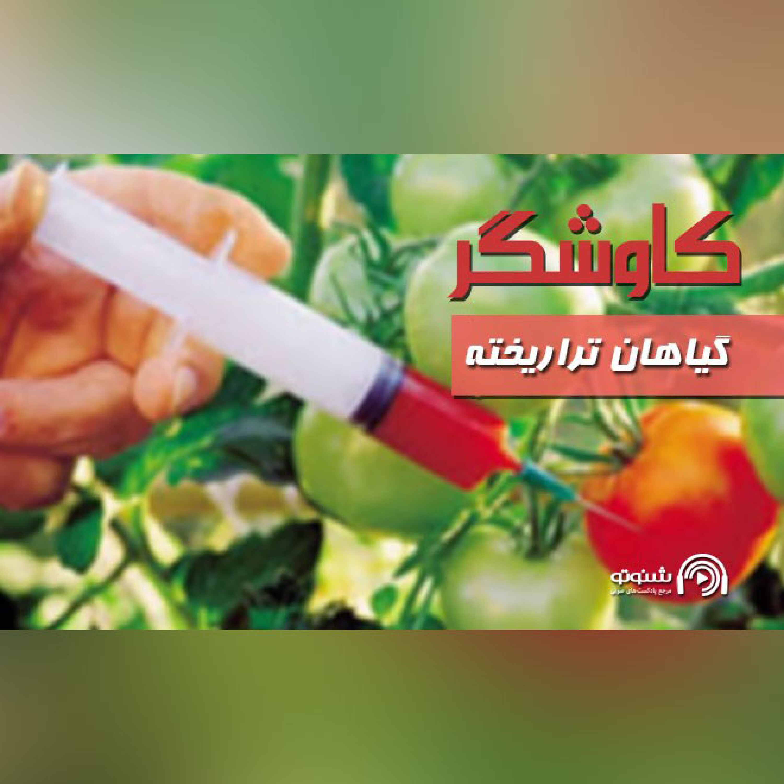 گیاهان تراریخته