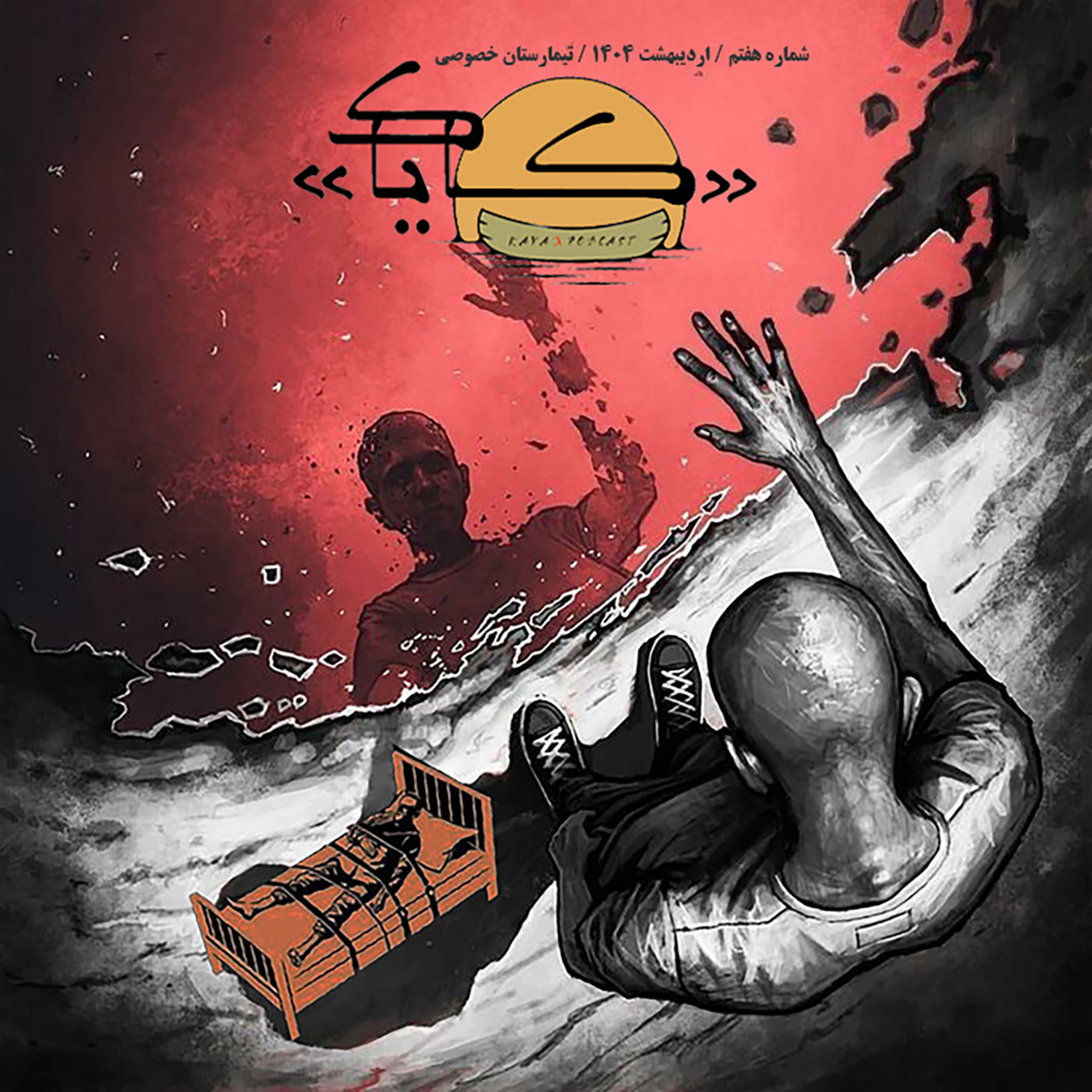 رادیو کایاک 7: تیمارستان خصوصی