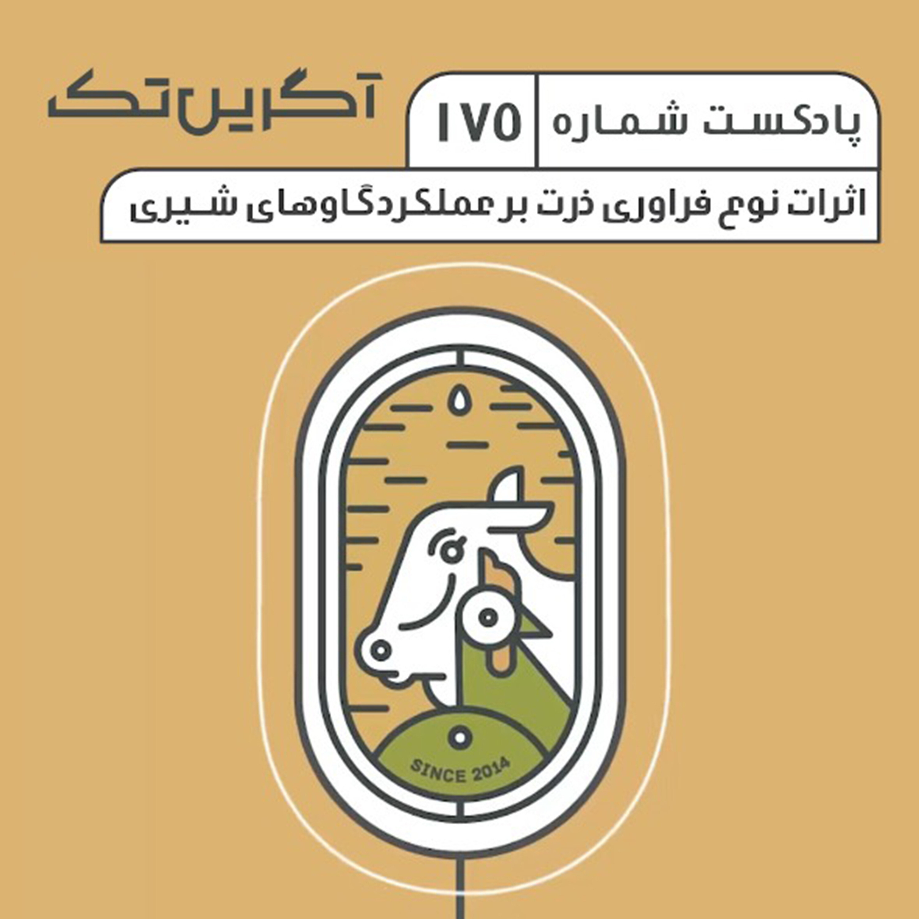 پادکست شماره 175: اثرات نوع فراوری ذرت بر عملکرد گاوهای شیری