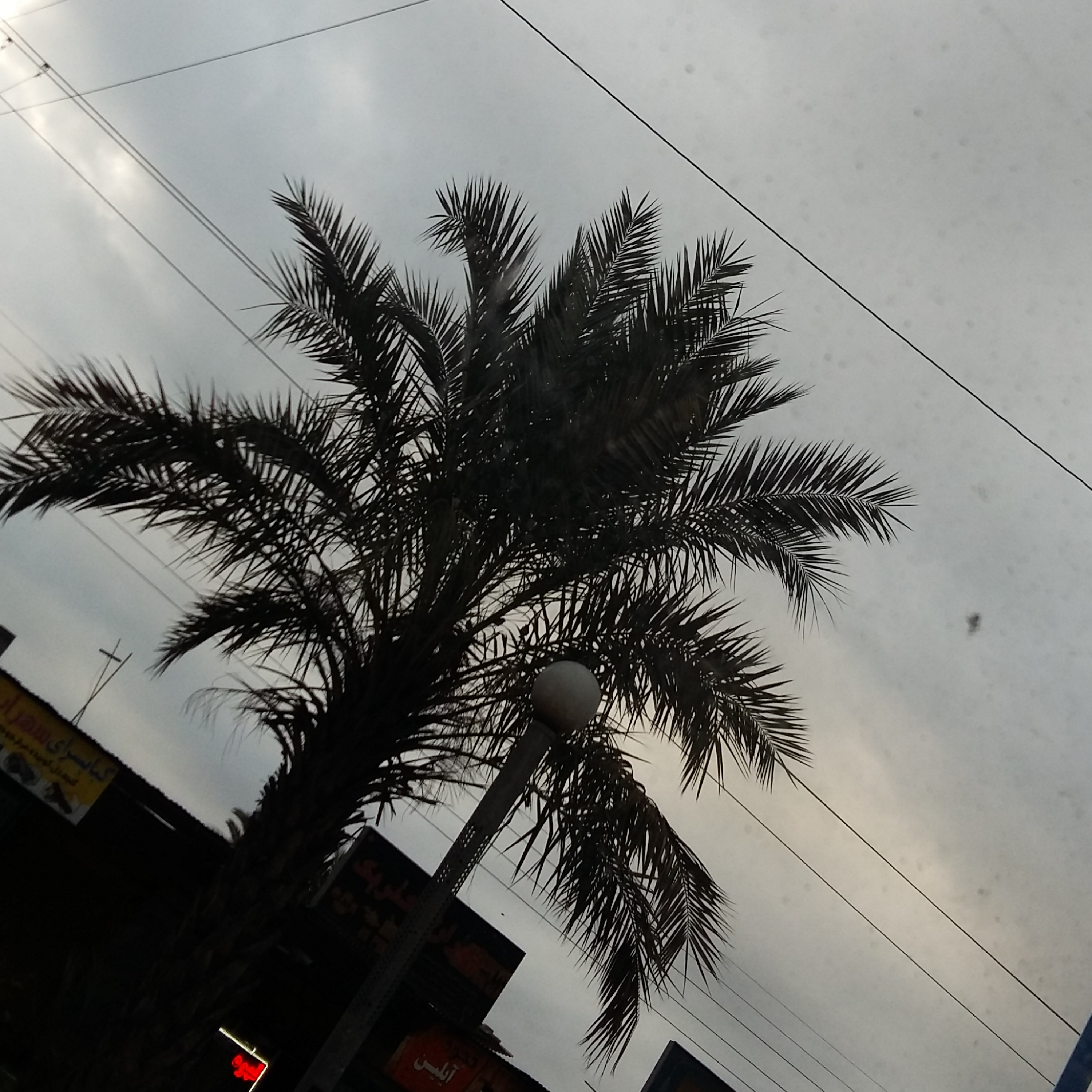 کاور ام خارک