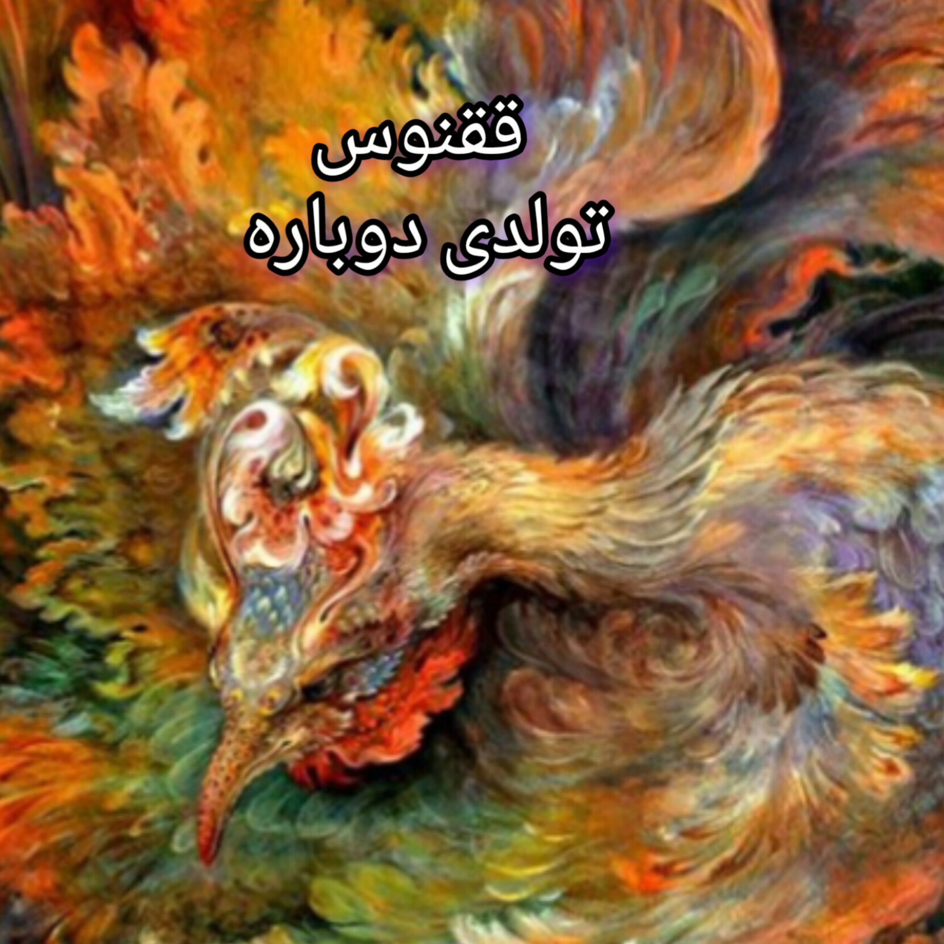 کاور معرفی روانشناسی ققنوس