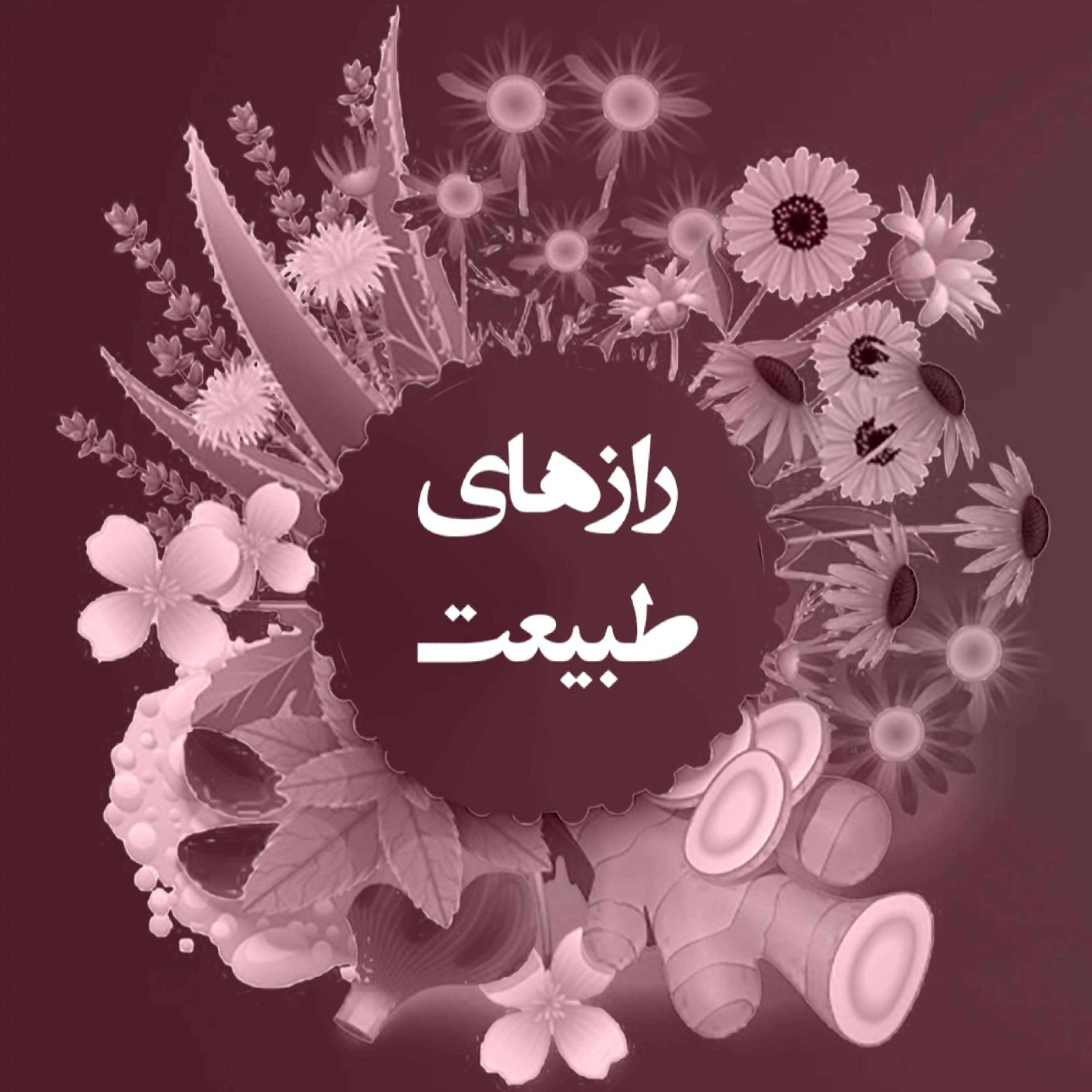 کاور رازهای طبیعت