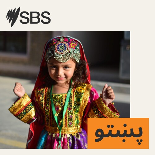 د اس بي اس پښتو د نن ورځې لنډ خبرونه | ۲۸ مارچ ۲۰۲۵