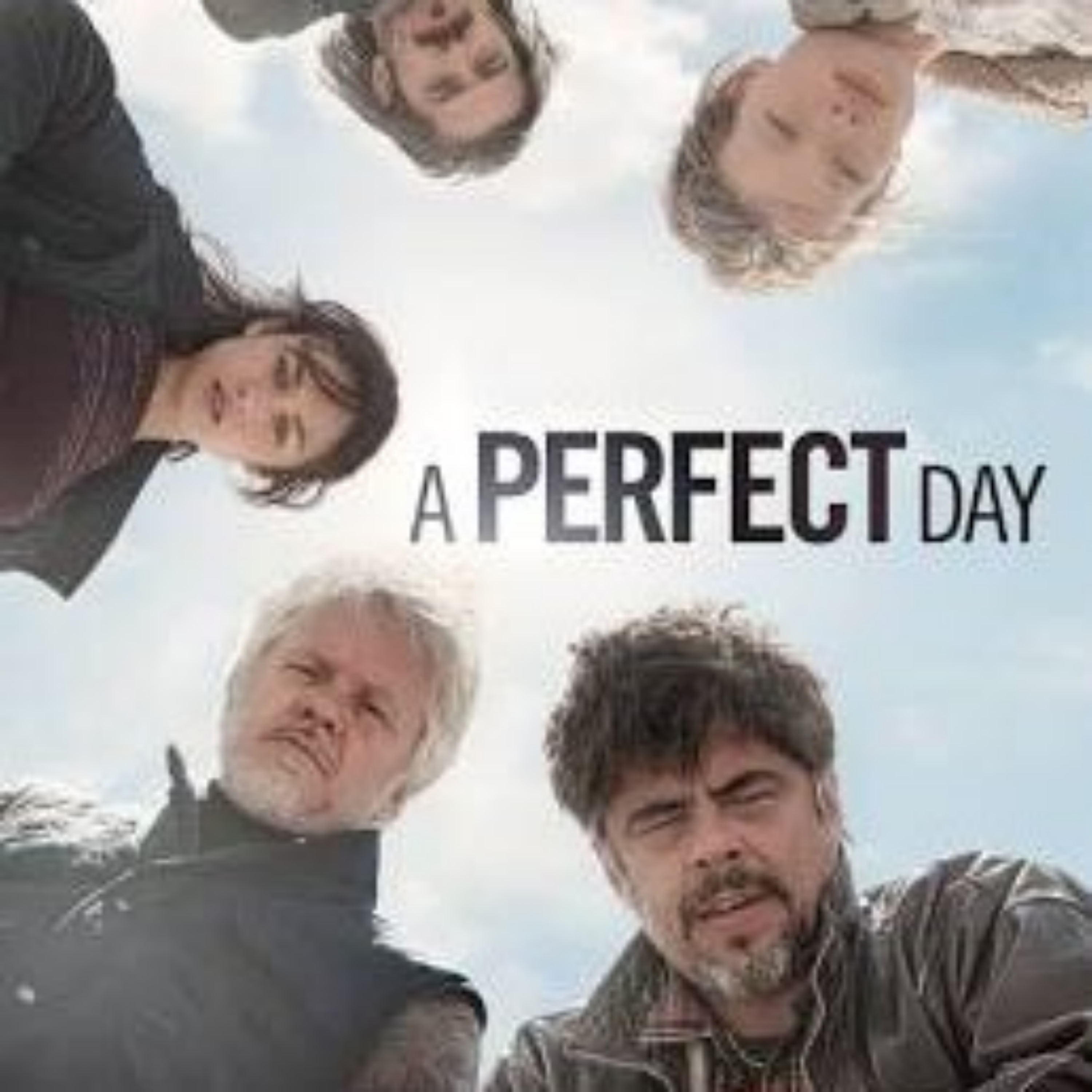 کاور A Perfect Day (2015)