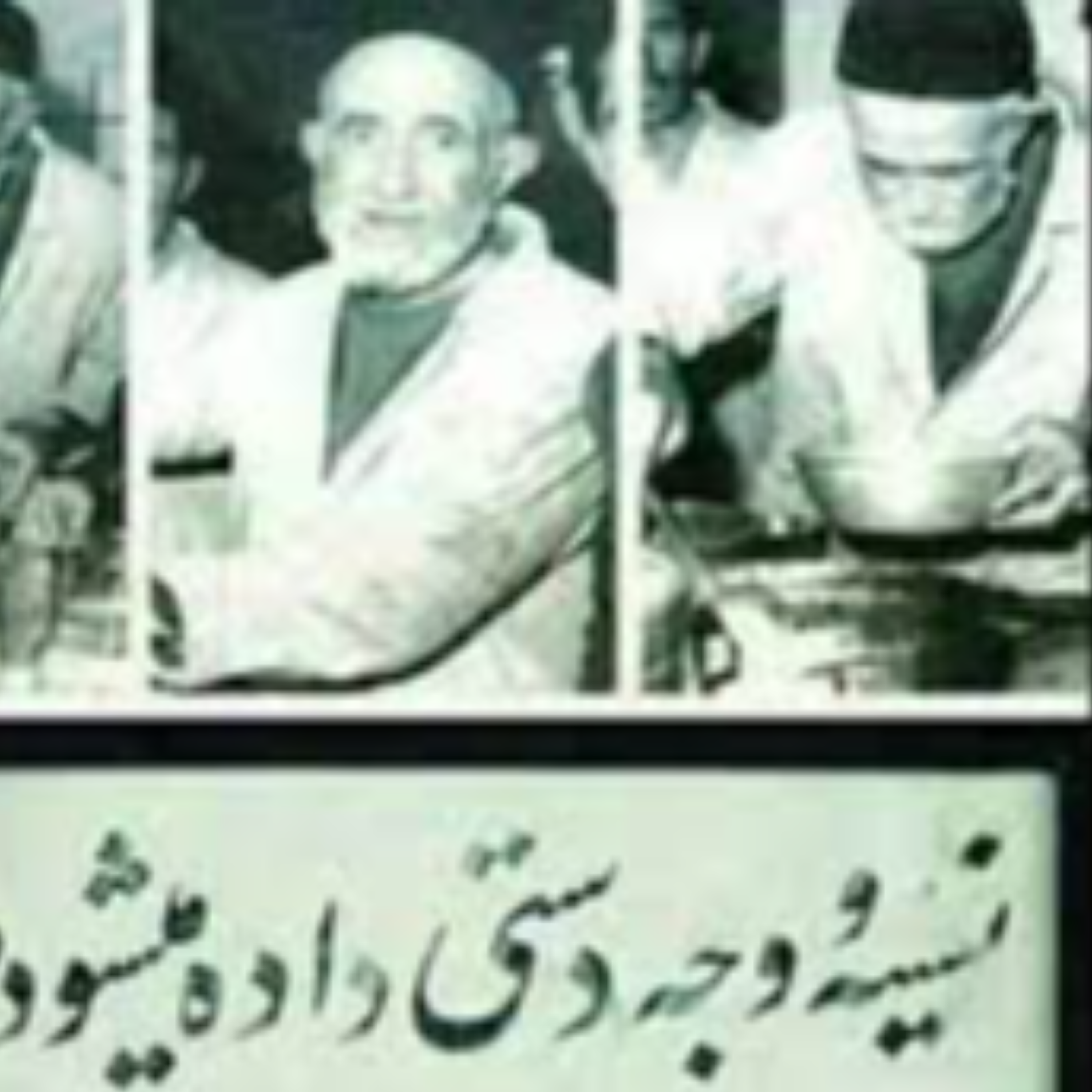 کاور مرشد چلویی