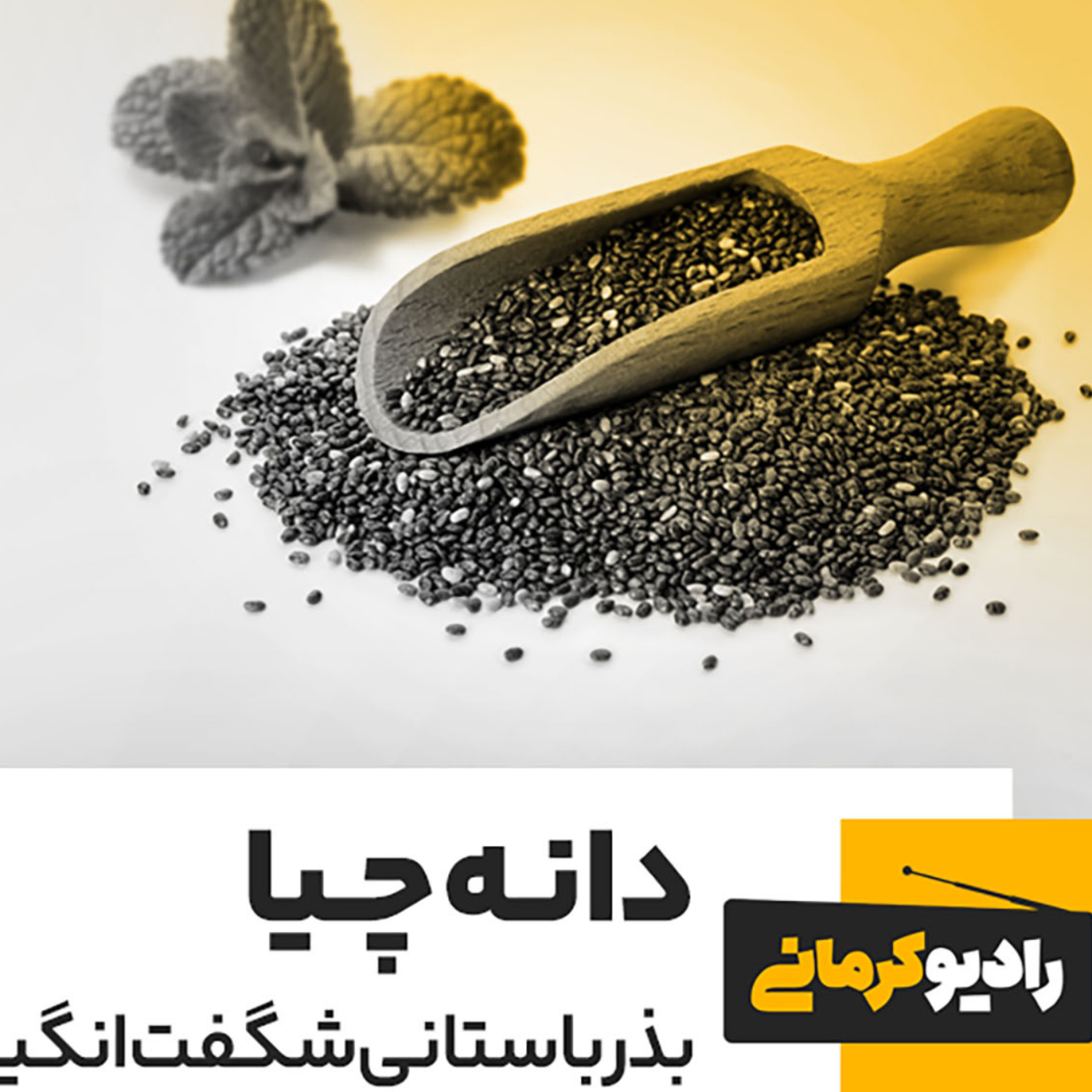 کاور دانه چیا، بذر باستانی شگفت انگیز