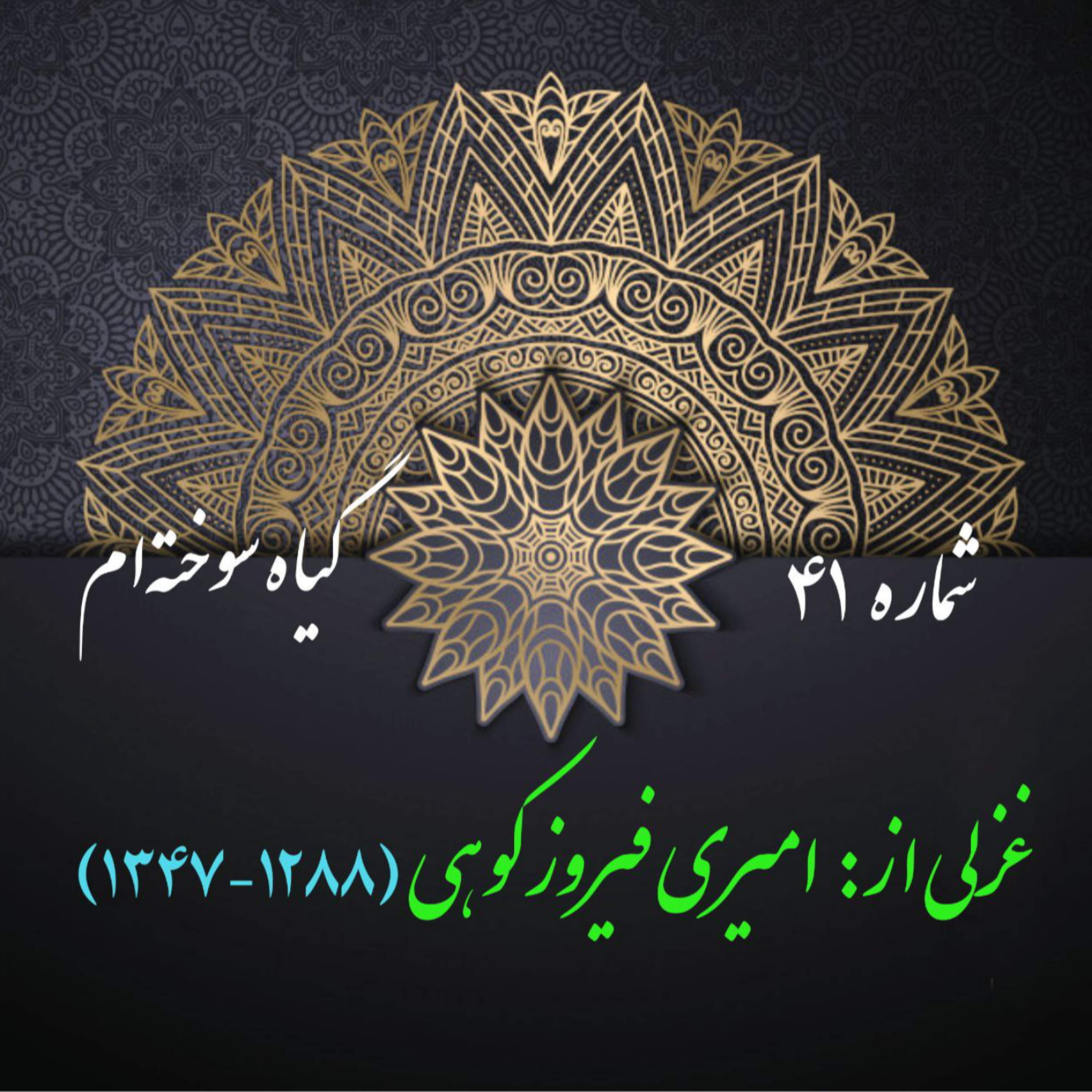 کاور شمارۀ 41 - غزلی از امیری فیروزکوهی