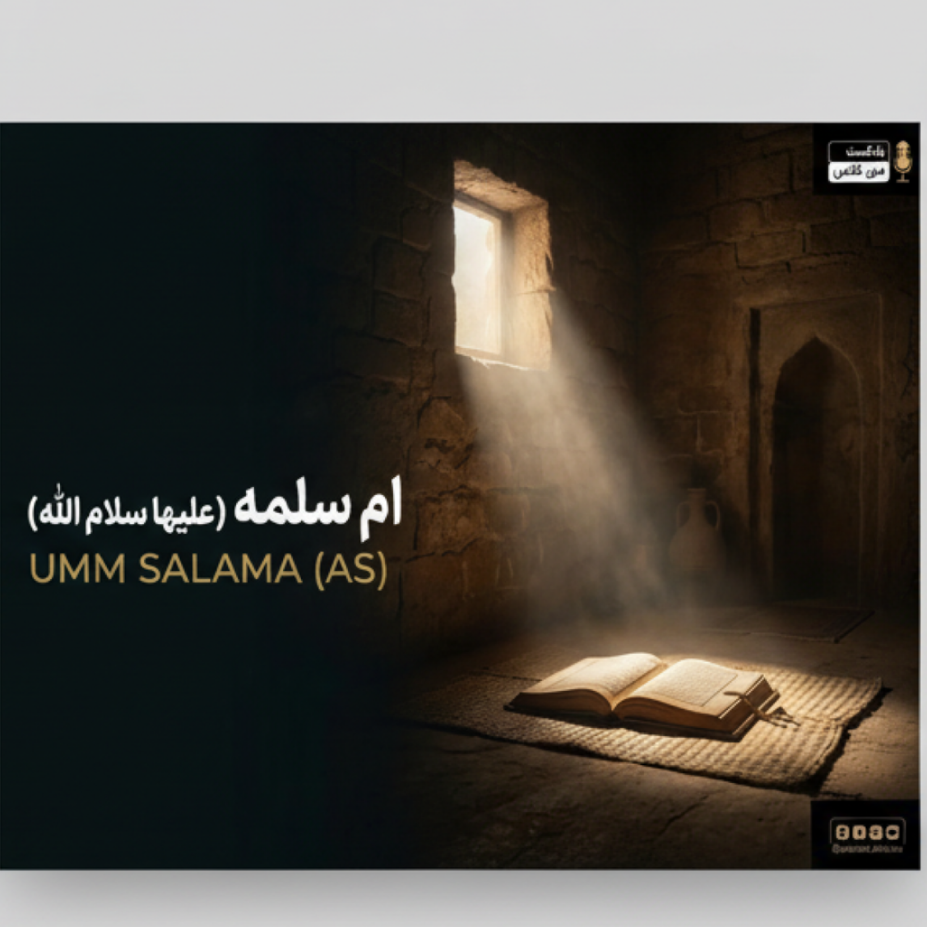 کاور ام سلمه 11