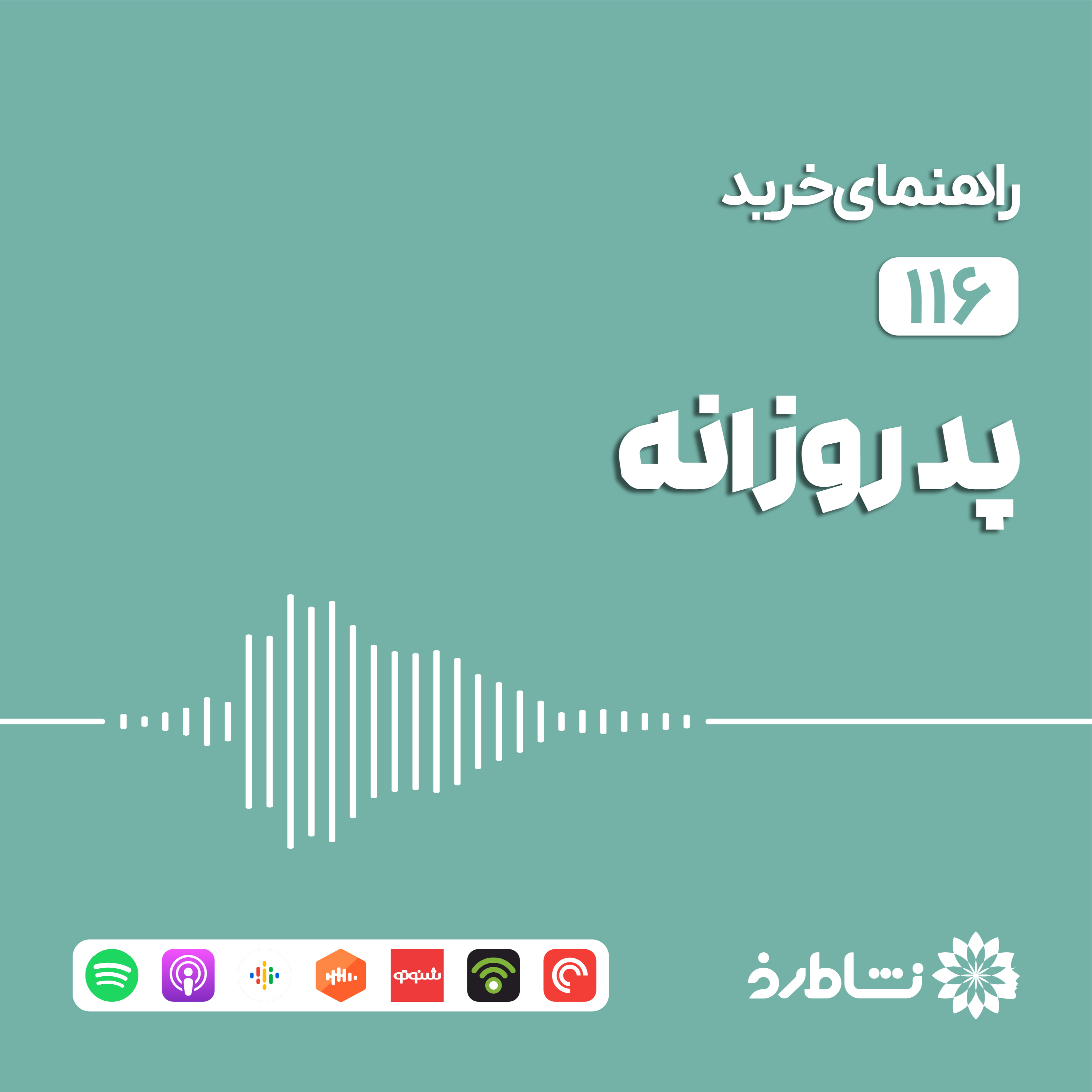 راهنمای خرید پد روزانه
