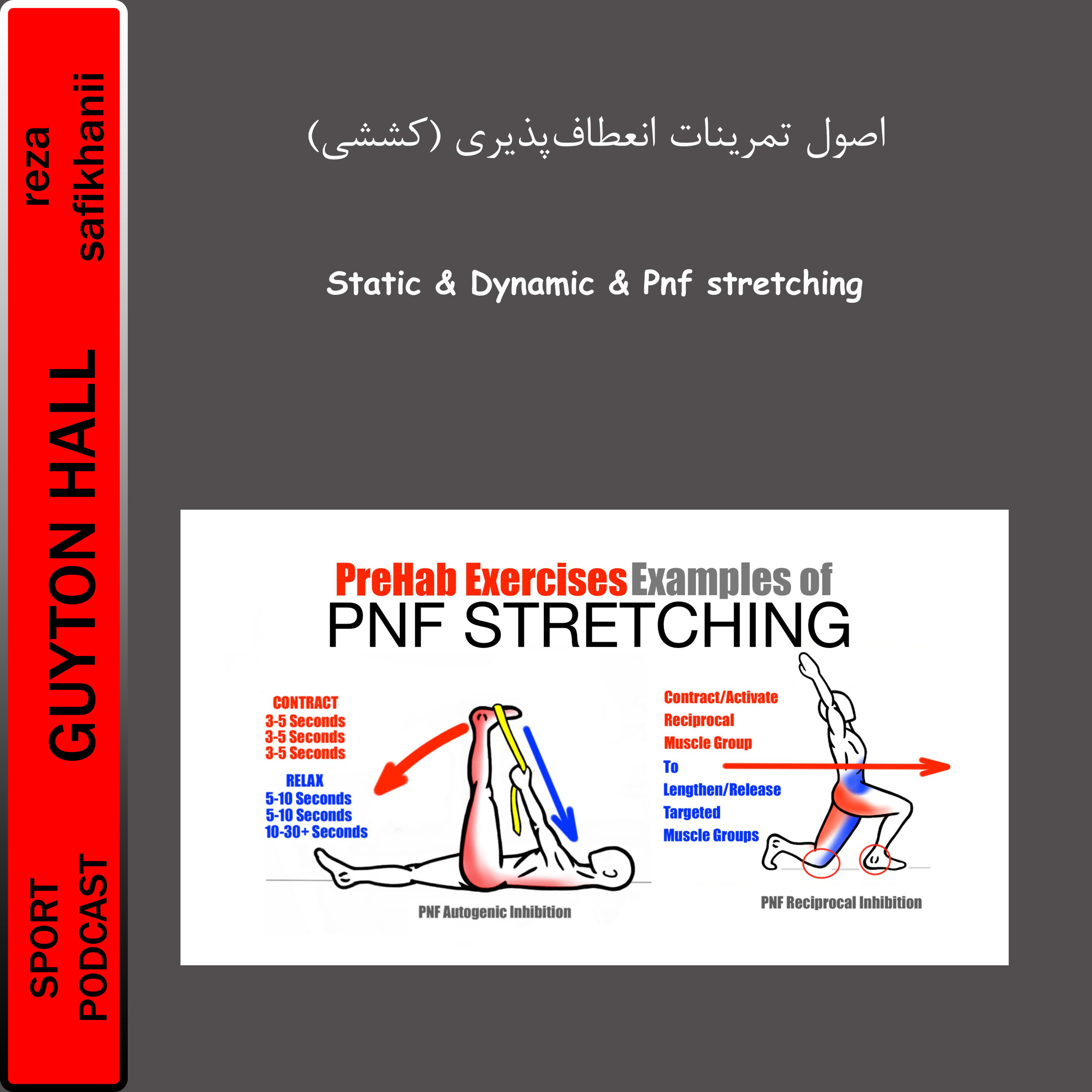 اصول تمرینات انعطافپذیری (کششی)