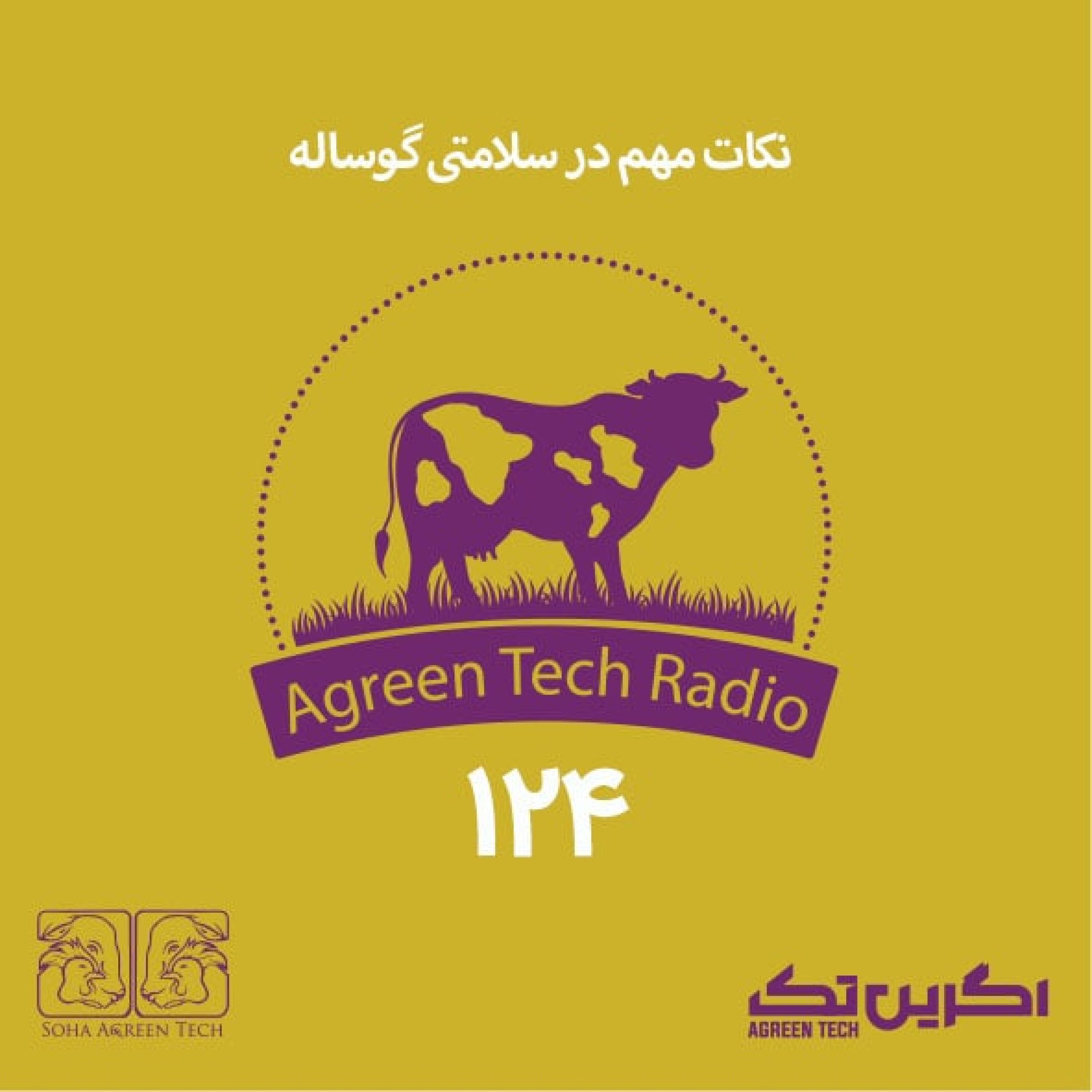 پادکست شماره 124: نکات مهم در سلامتی گوساله
