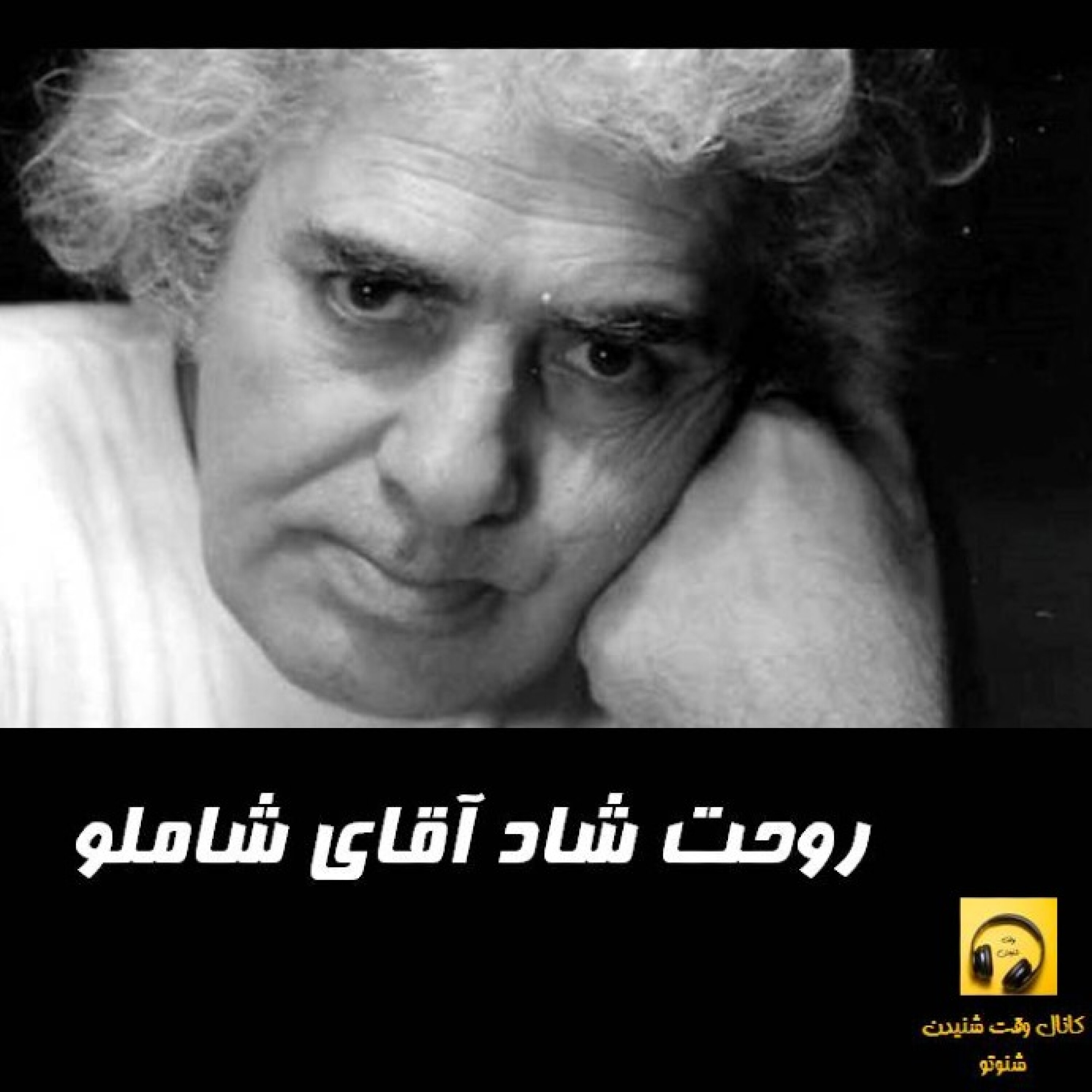 روحت شاد آقای شاملو