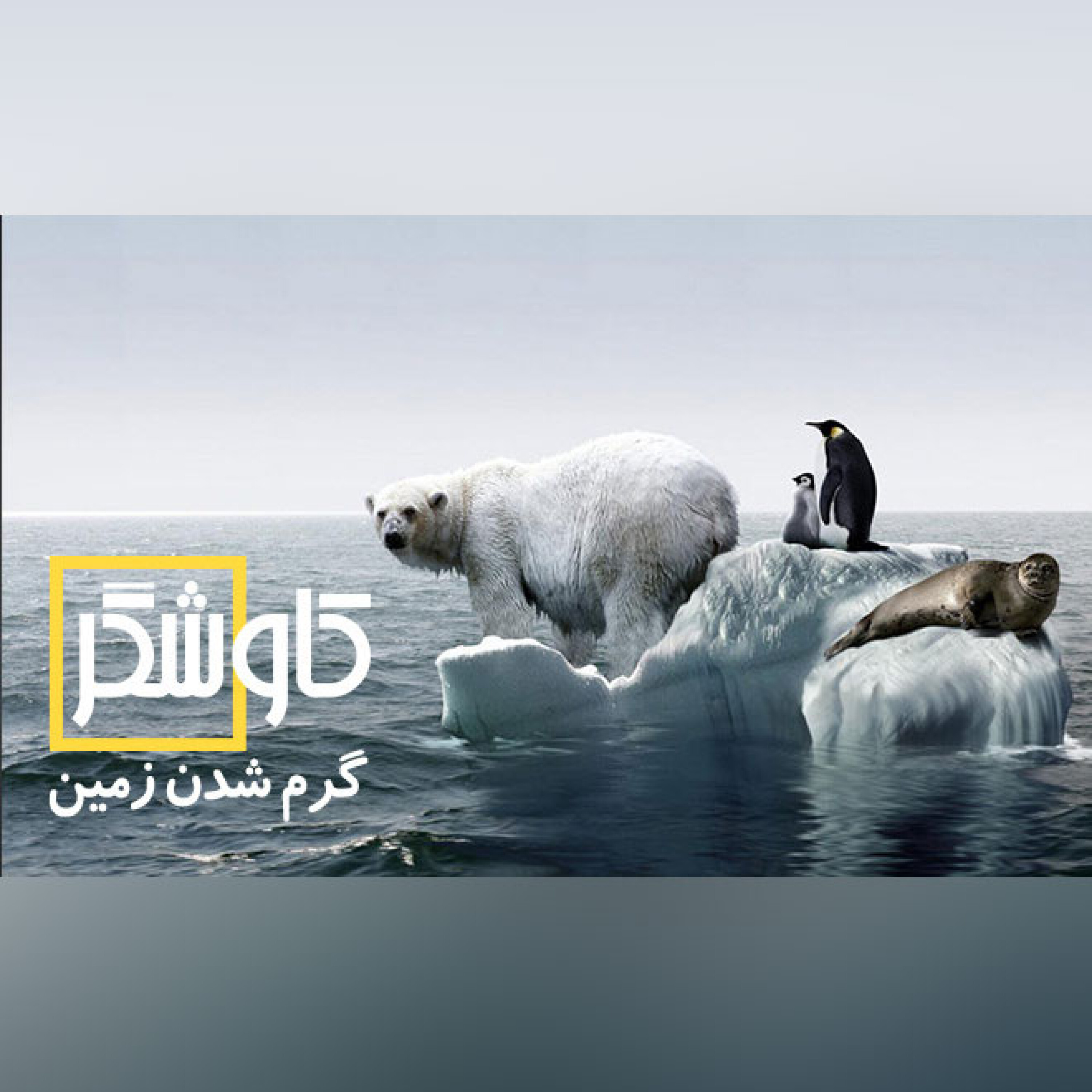 گرم شدن زمین