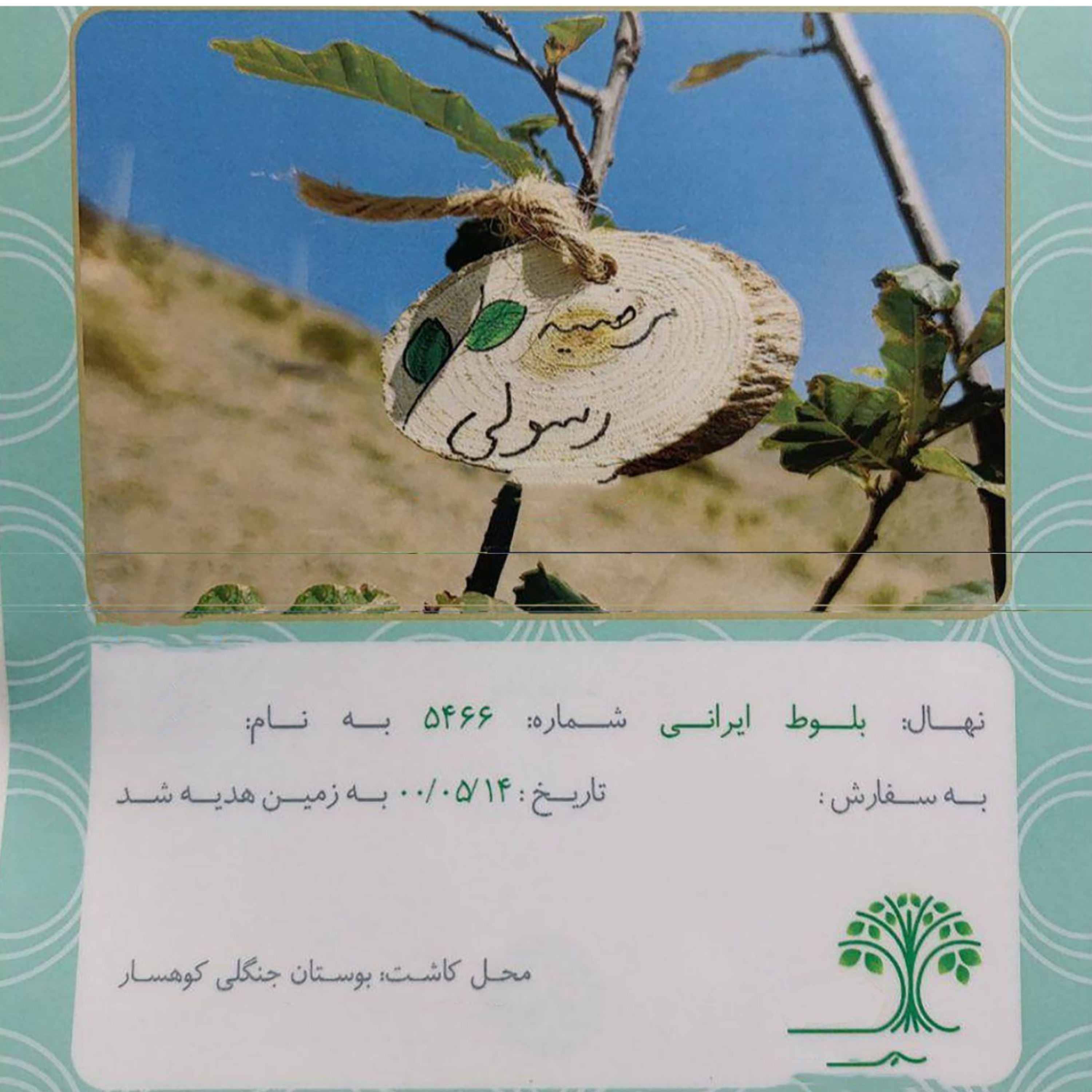 کاور قسمت دوم| کنارِ قاب عکس|هدیه نهال