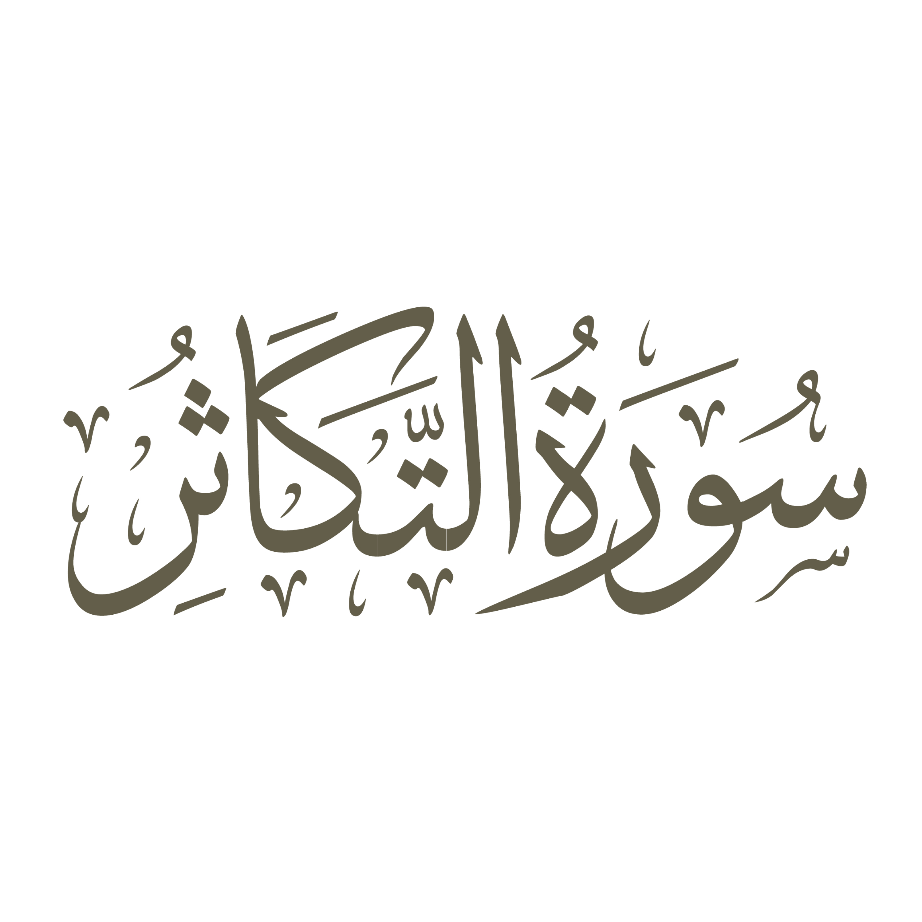 کاور تفسیر صوتی سوره تکاثر