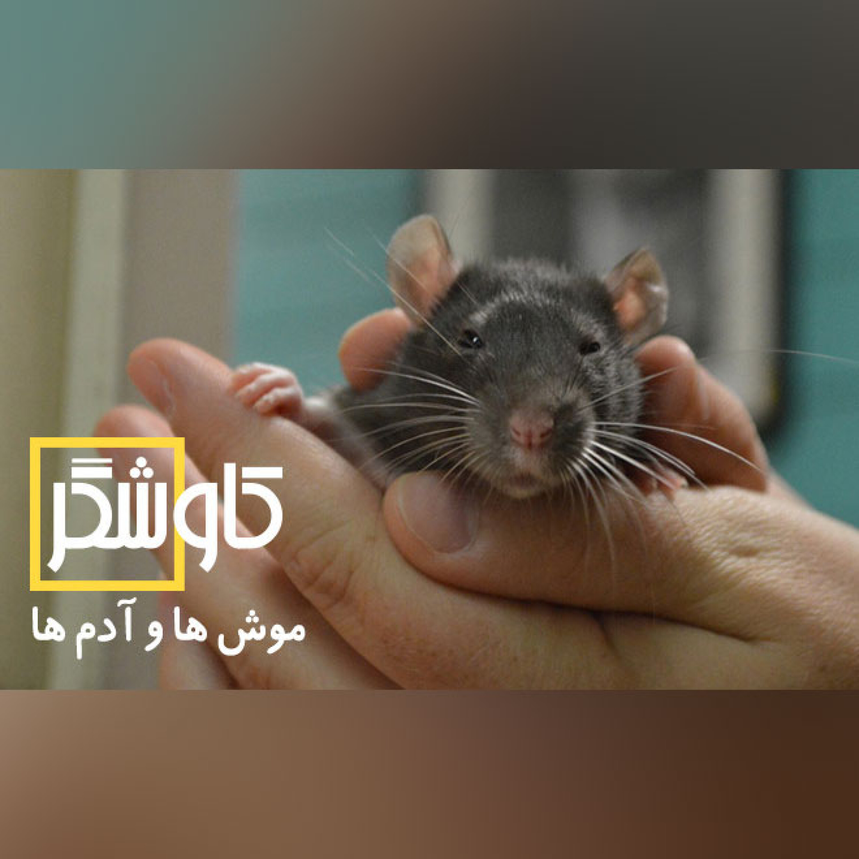 موش ها و آدم ها