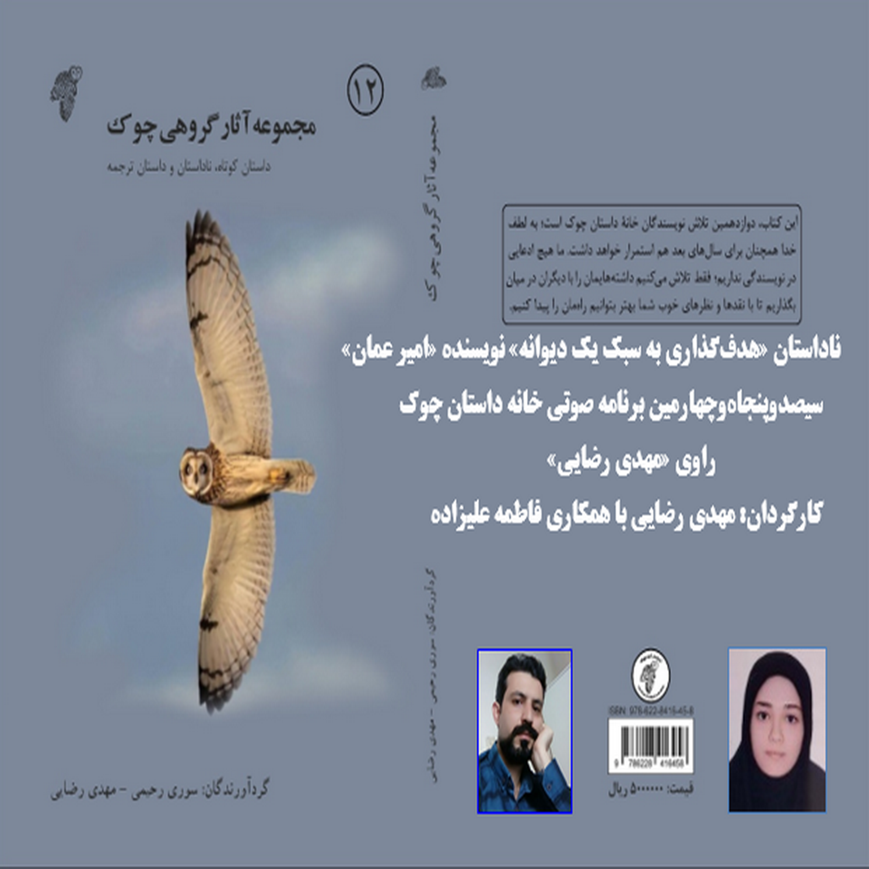 کاور ناداستان «هدفگذاری به سبک یک دیوانه» نویسنده «امیر عمان»