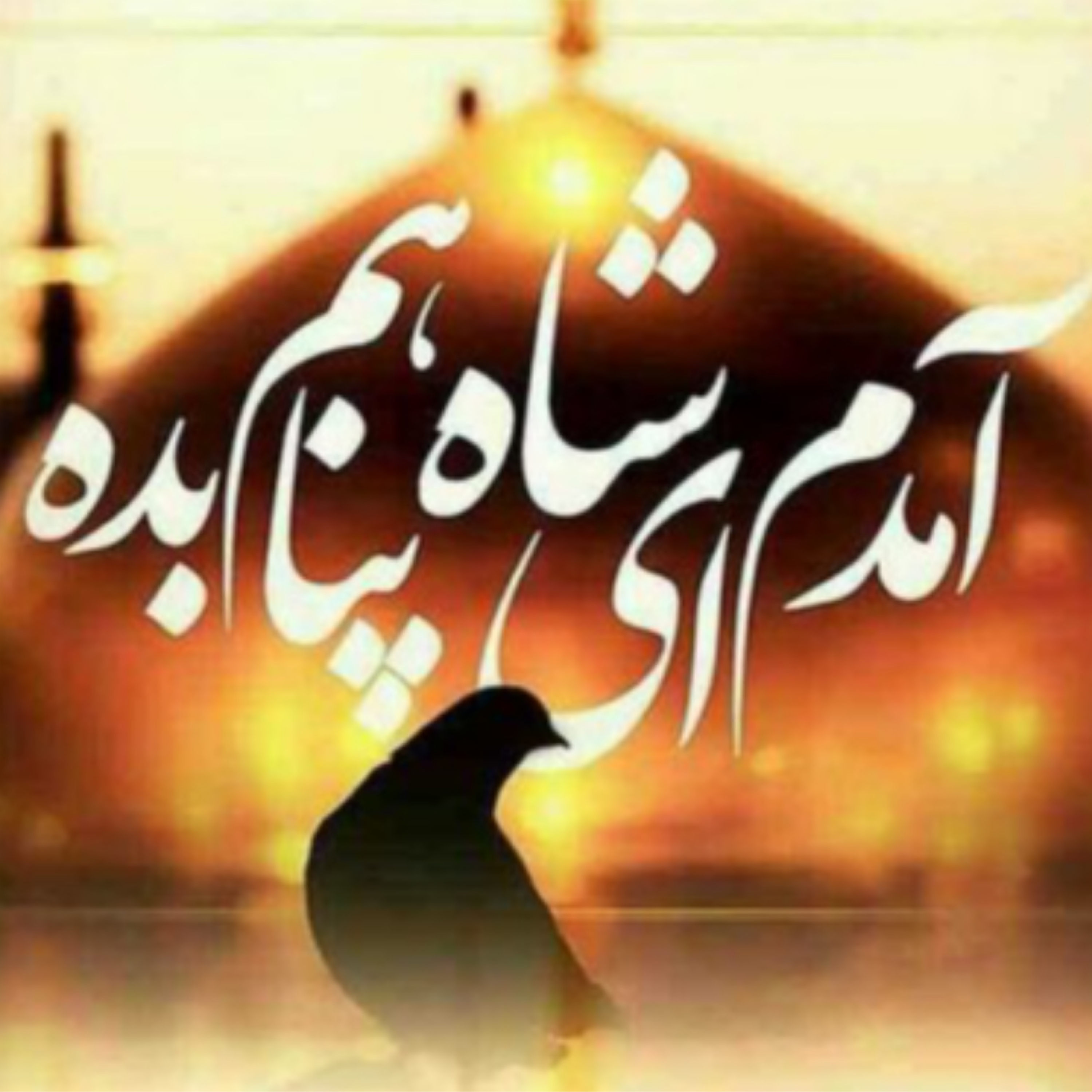 کاور امام رضا،امام خوبی ها