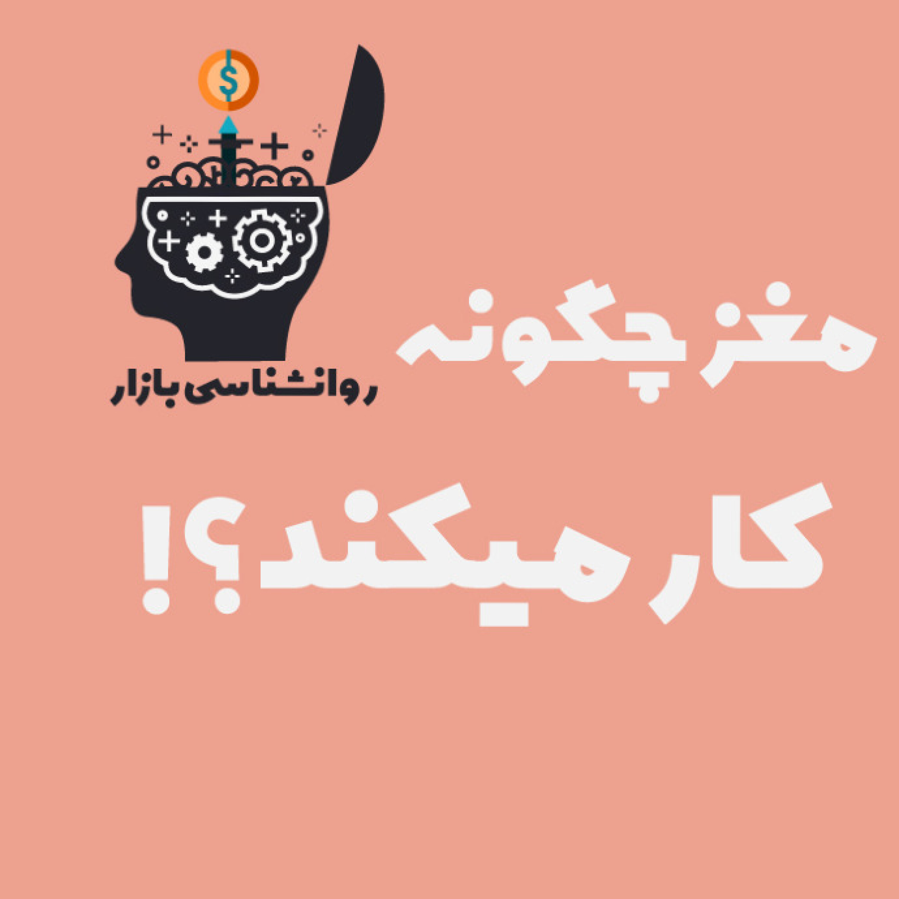 مغز چگونه کار میکند؟!