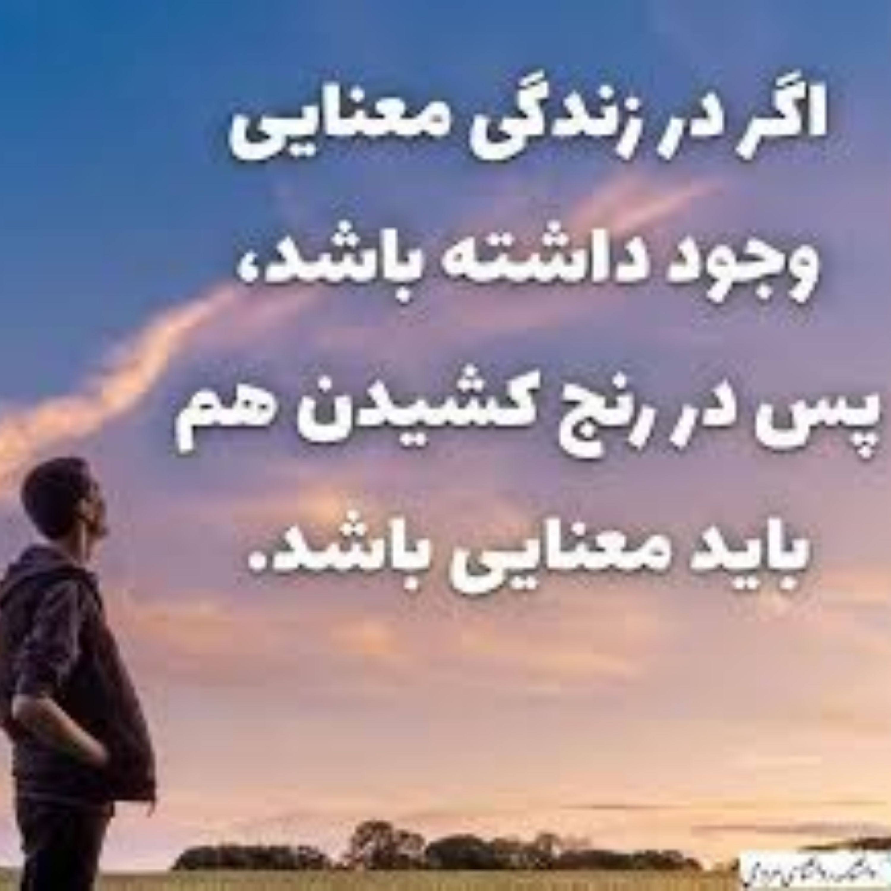 کاور پنج پرسش مهم در معنای زندگی