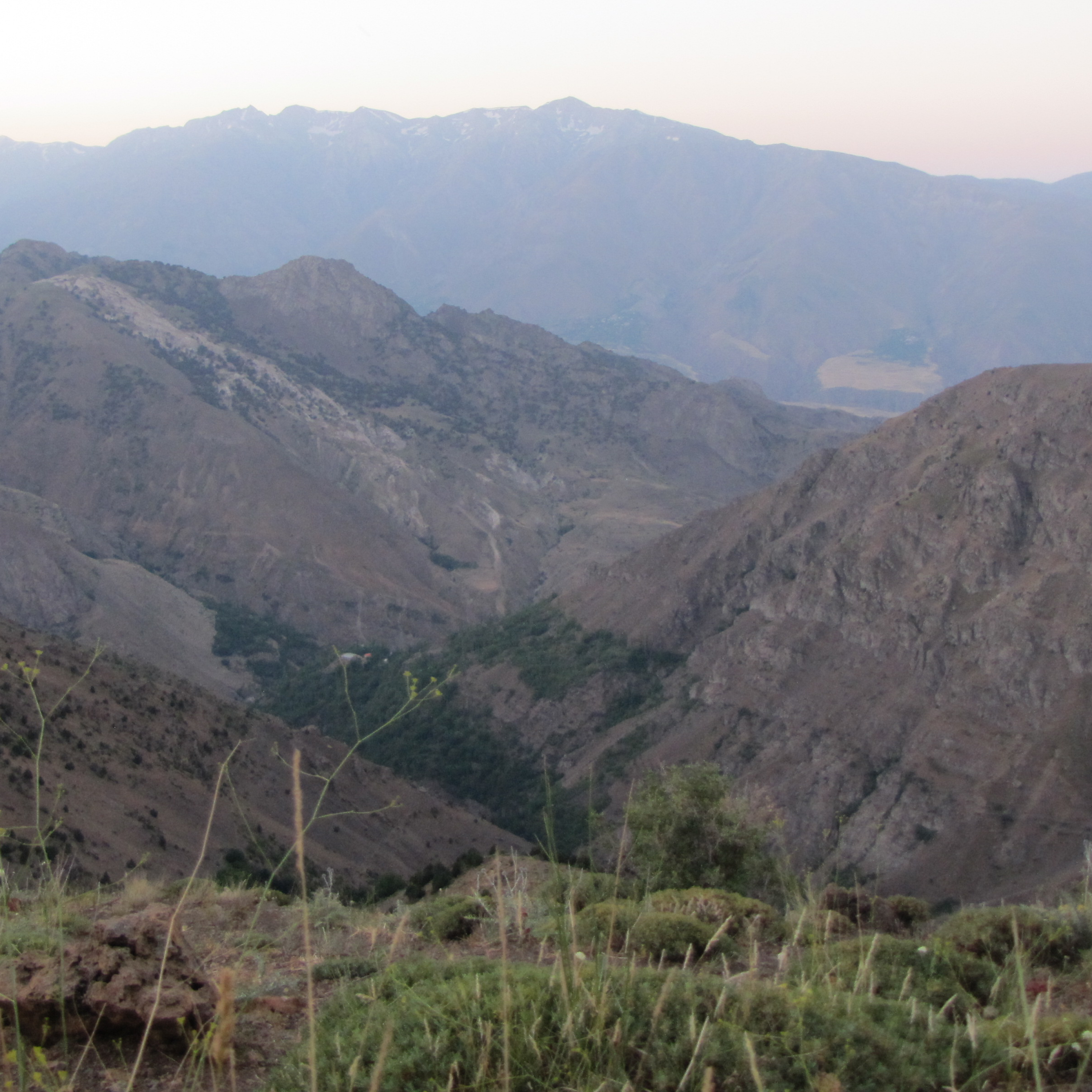 کاور بازگشت به دارالحیات3