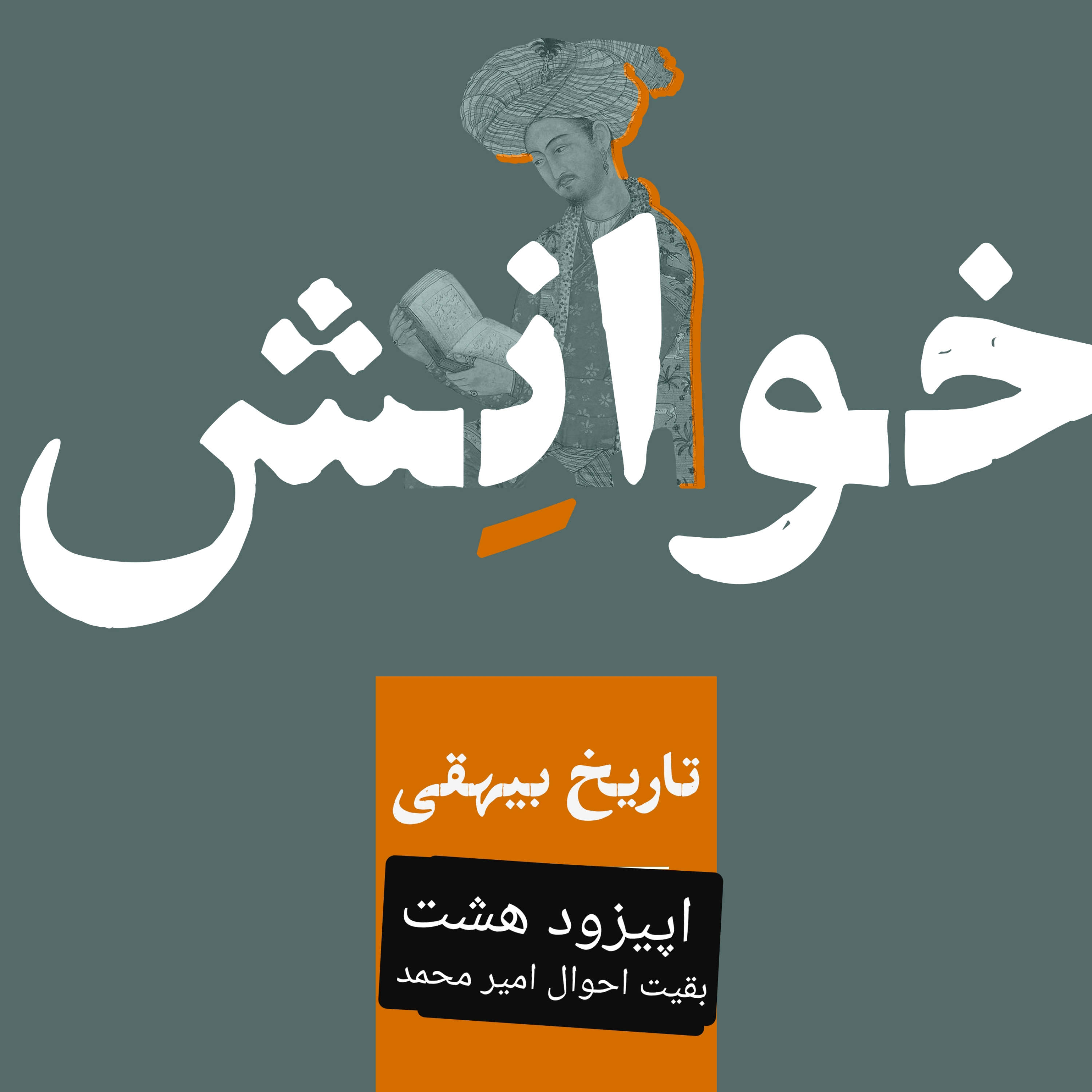 کاور ۸-تاریخ بیهقی-بقیت احوال امیر