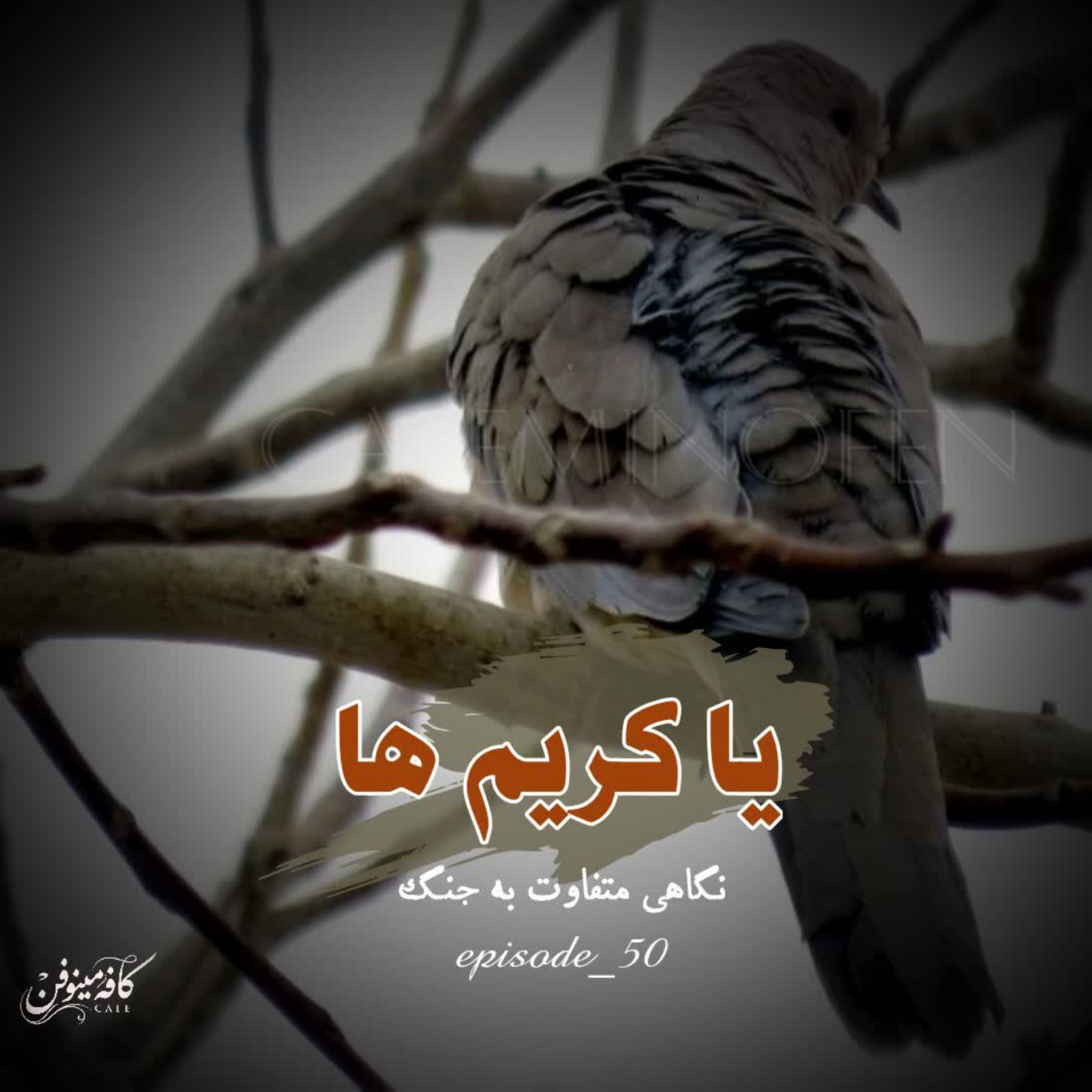 کاور یاکریم ها 7