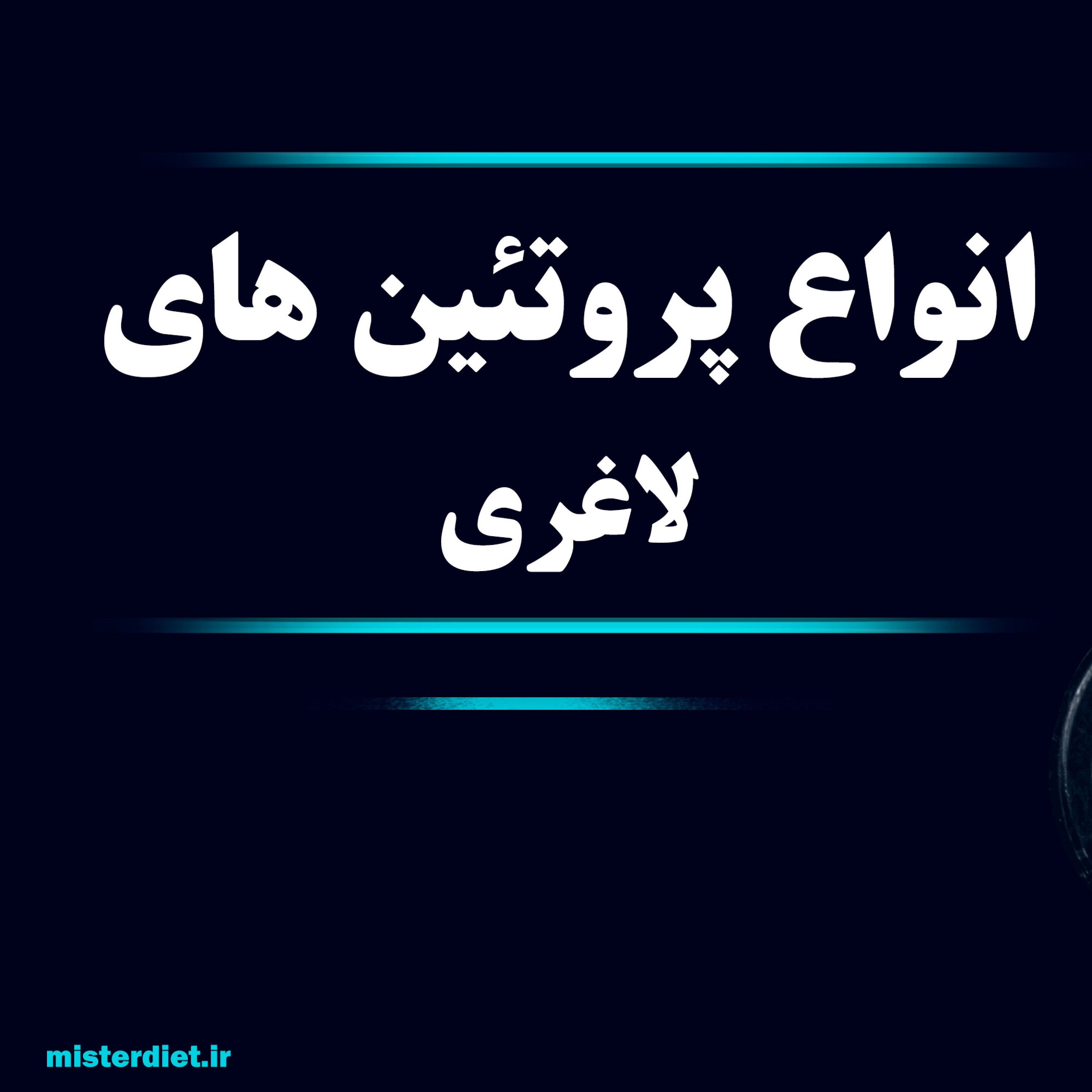 کاور انواع پروتئین ها برای لاغری